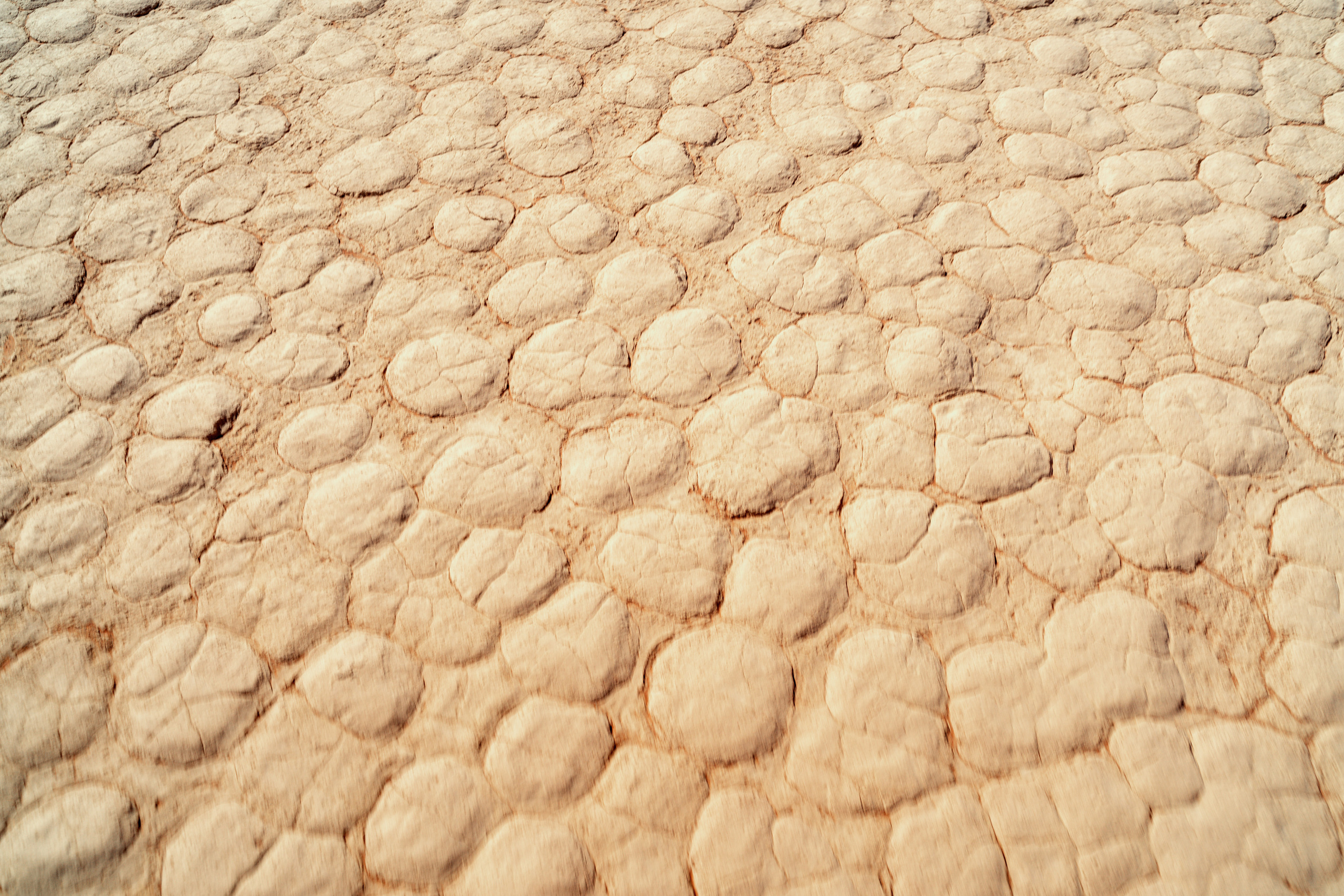 Путешествия. Фотограф в Хабаровске. Фотография за 24 часа