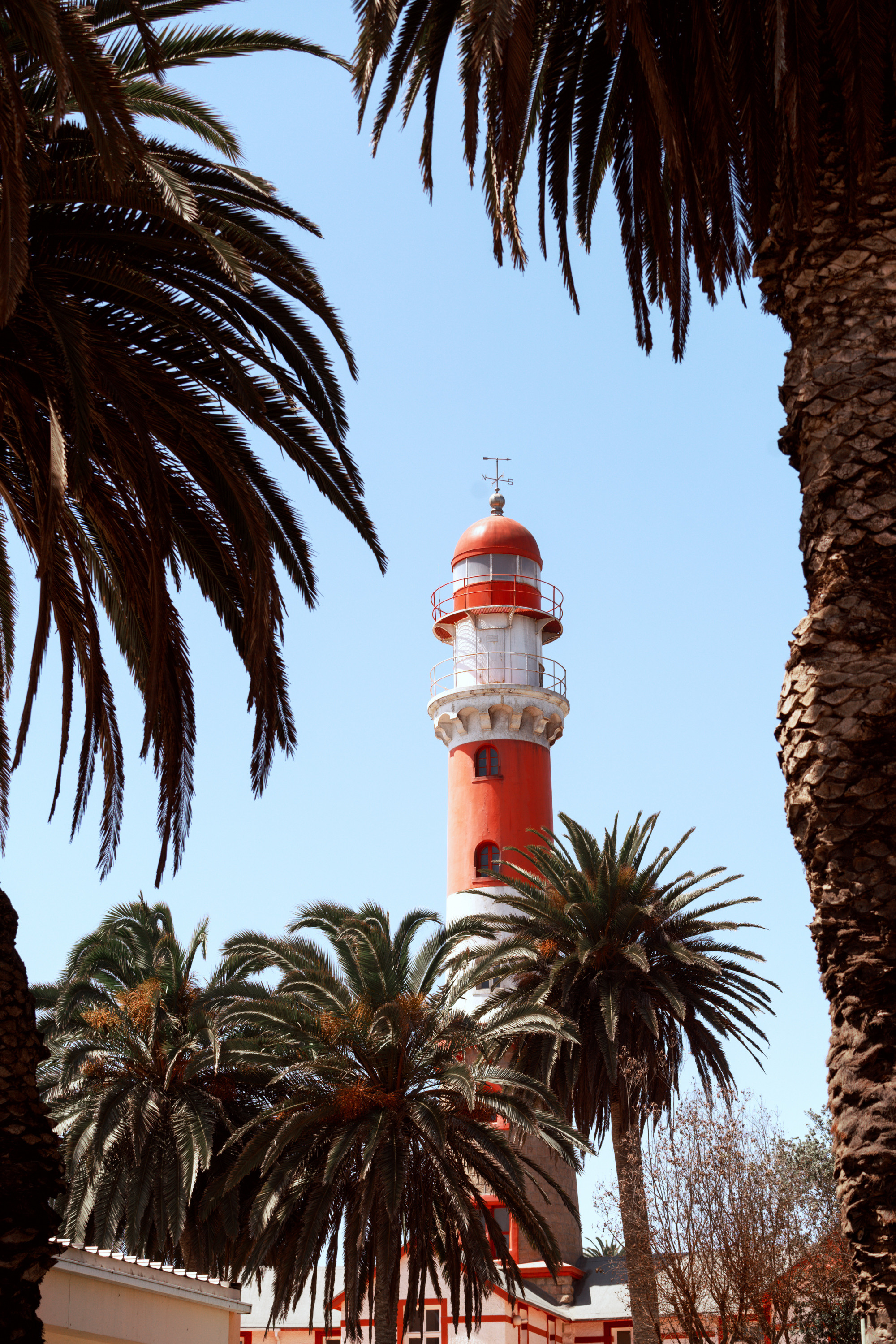 Южная Африка. Фотограф в Хабаровске. Фотография за 24 часа