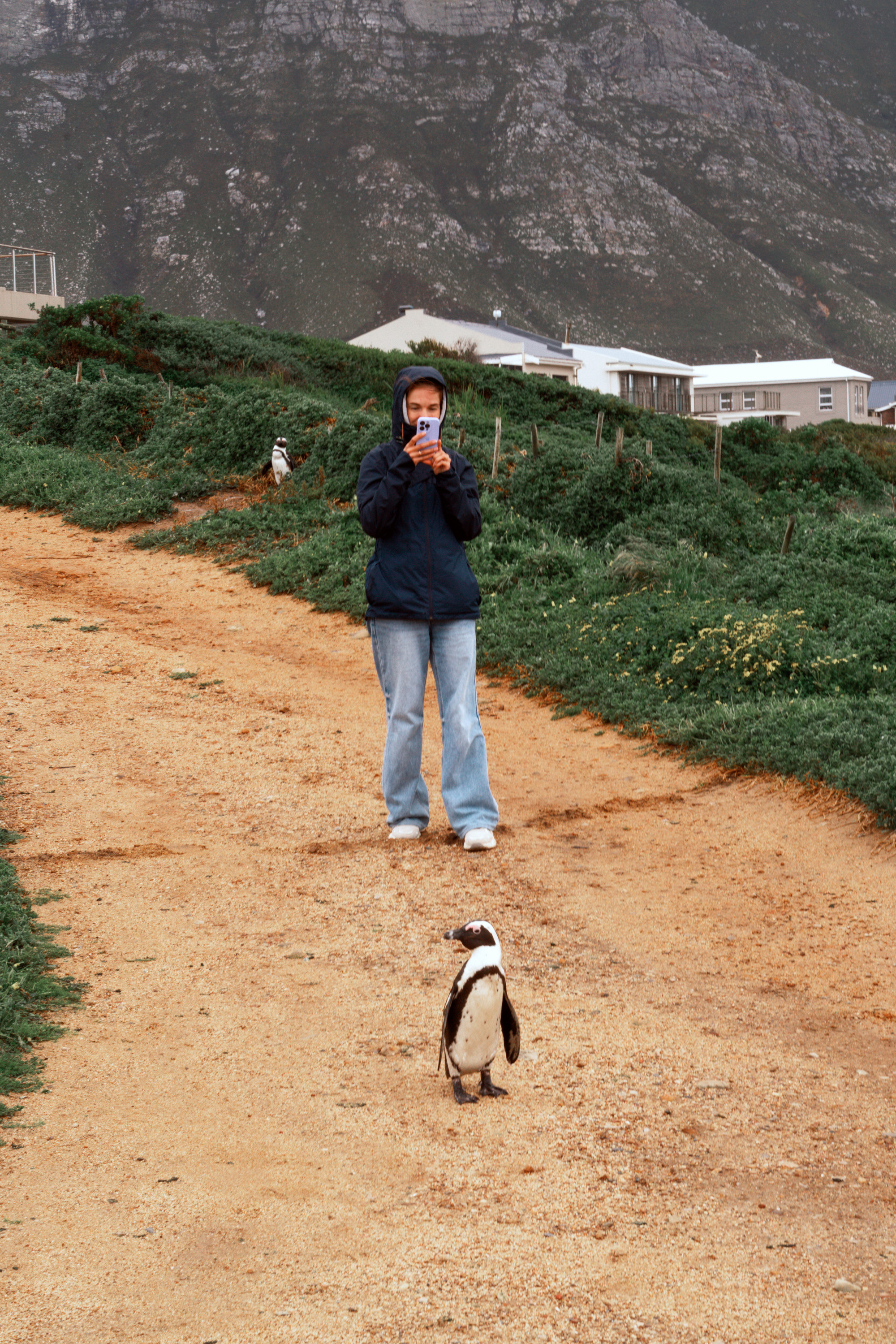 Южная Африка. Фотограф в Хабаровске. Фотография за 24 часа