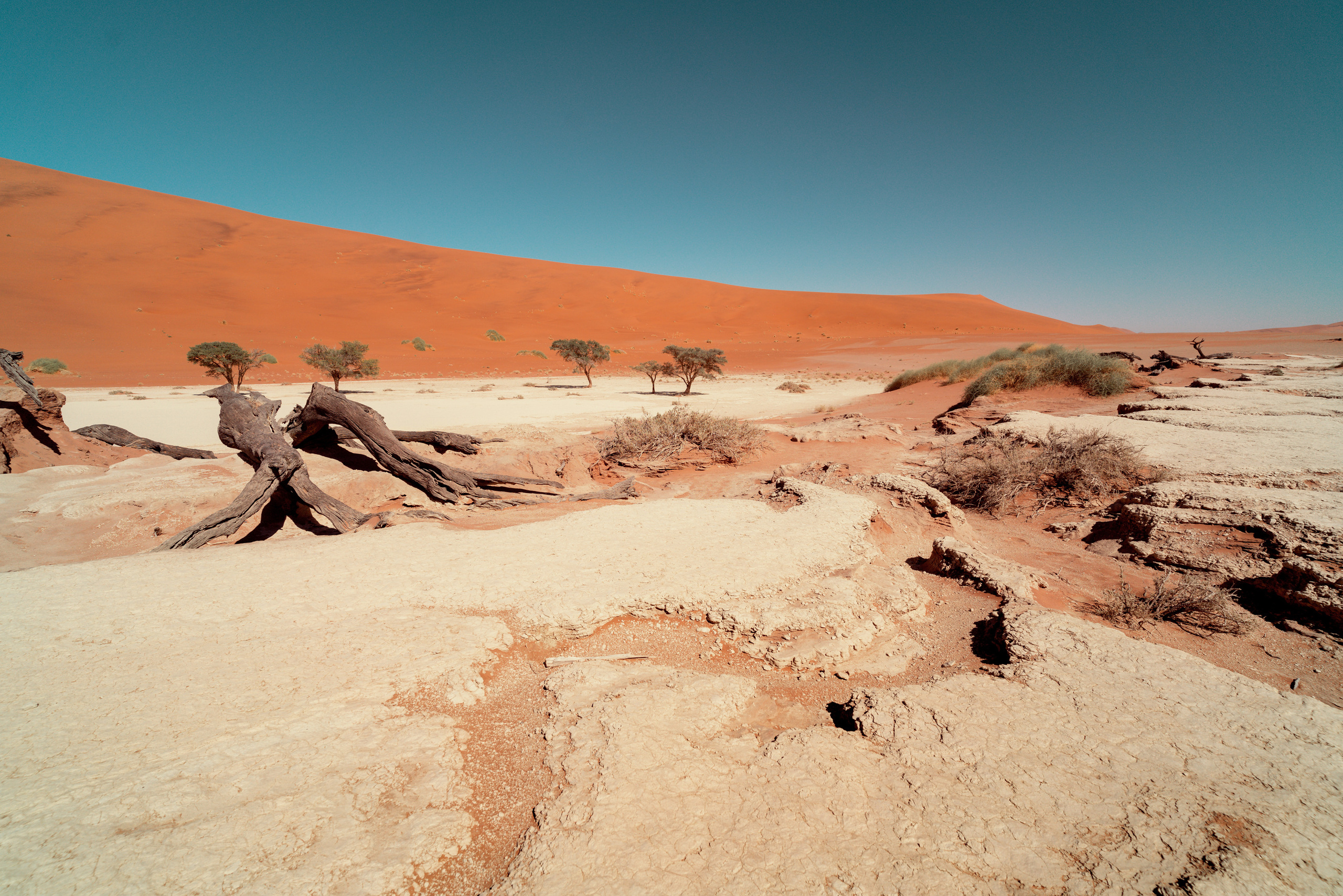 Южная Африка. Фотограф в Хабаровске. Фотография за 24 часа