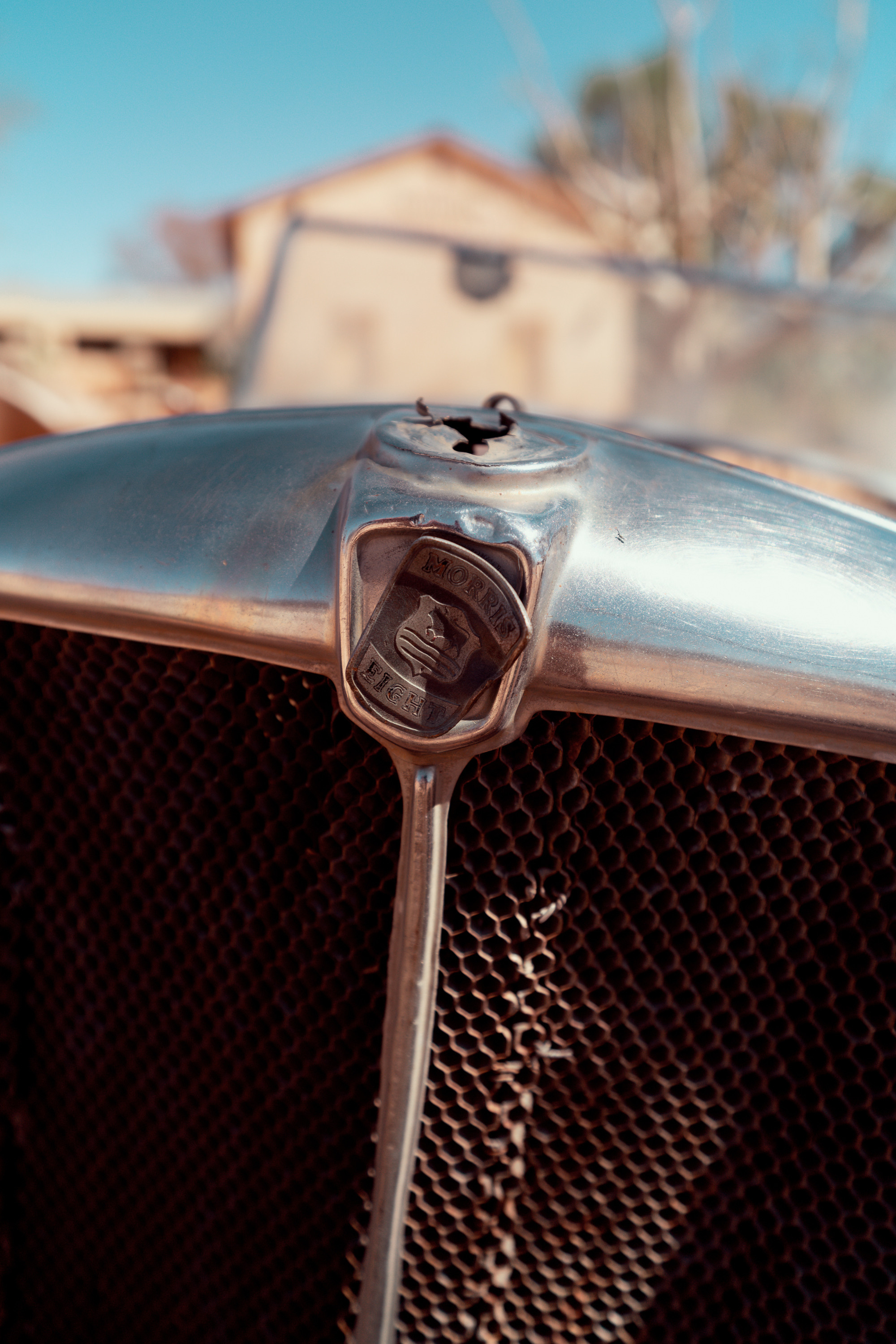 Южная Африка. Фотограф в Хабаровске. Фотография за 24 часа