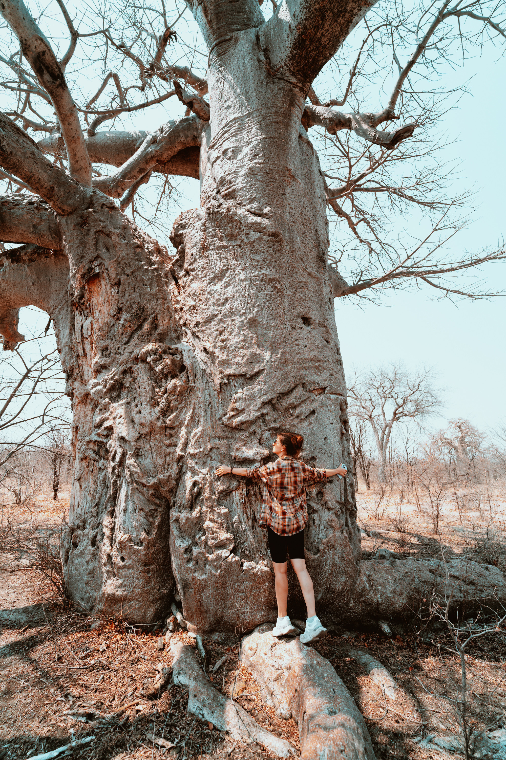 Южная Африка. Фотограф в Хабаровске. Фотография за 24 часа