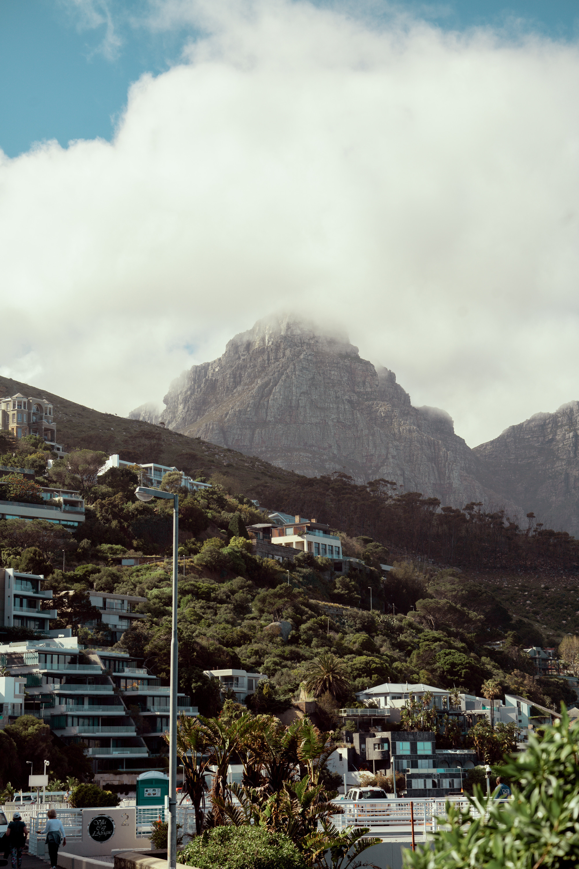 Южная Африка. Фотограф в Хабаровске. Фотография за 24 часа