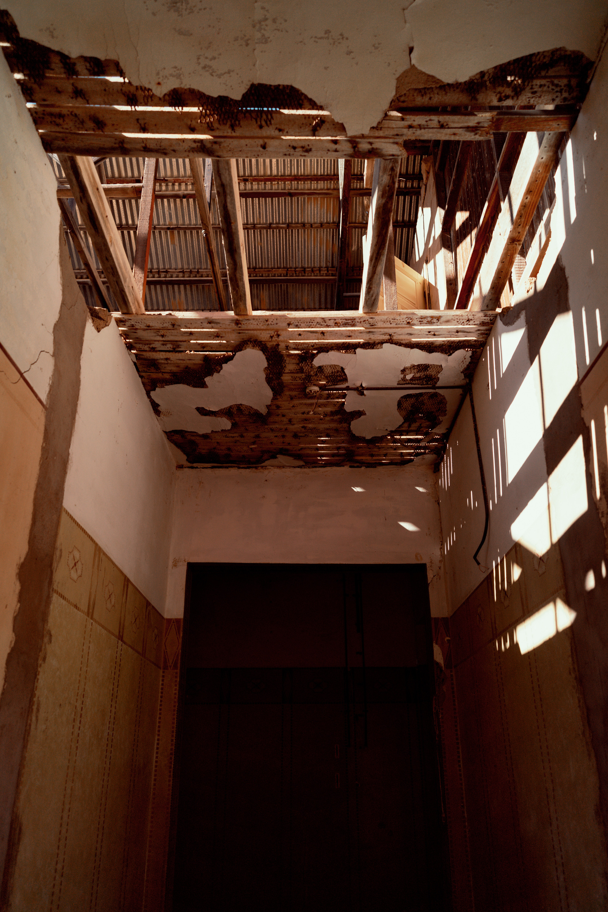 Южная Африка. Фотограф в Хабаровске. Фотография за 24 часа