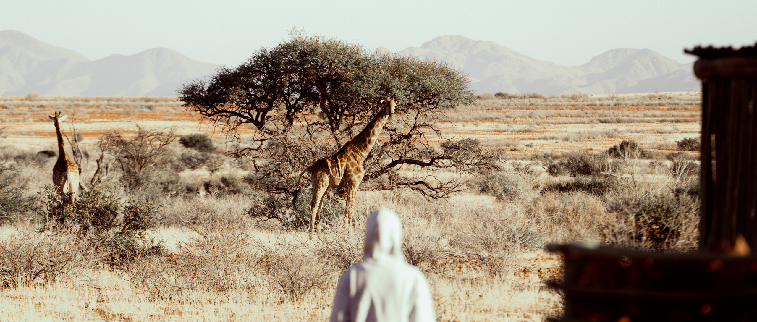 Южная Африка. Фотограф в Хабаровске. Фотография за 24 часа