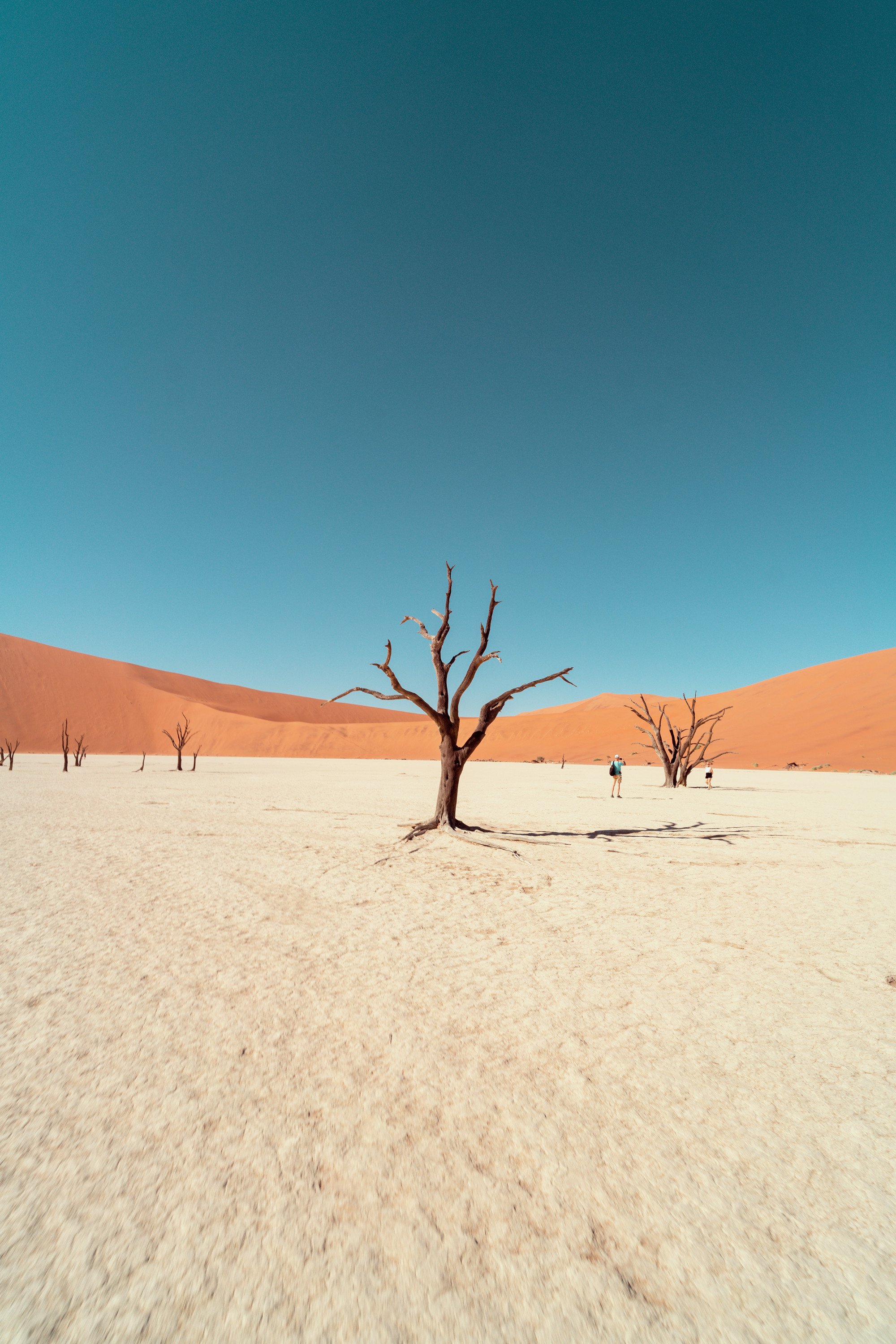 Южная Африка. Фотограф в Хабаровске. Фотография за 24 часа