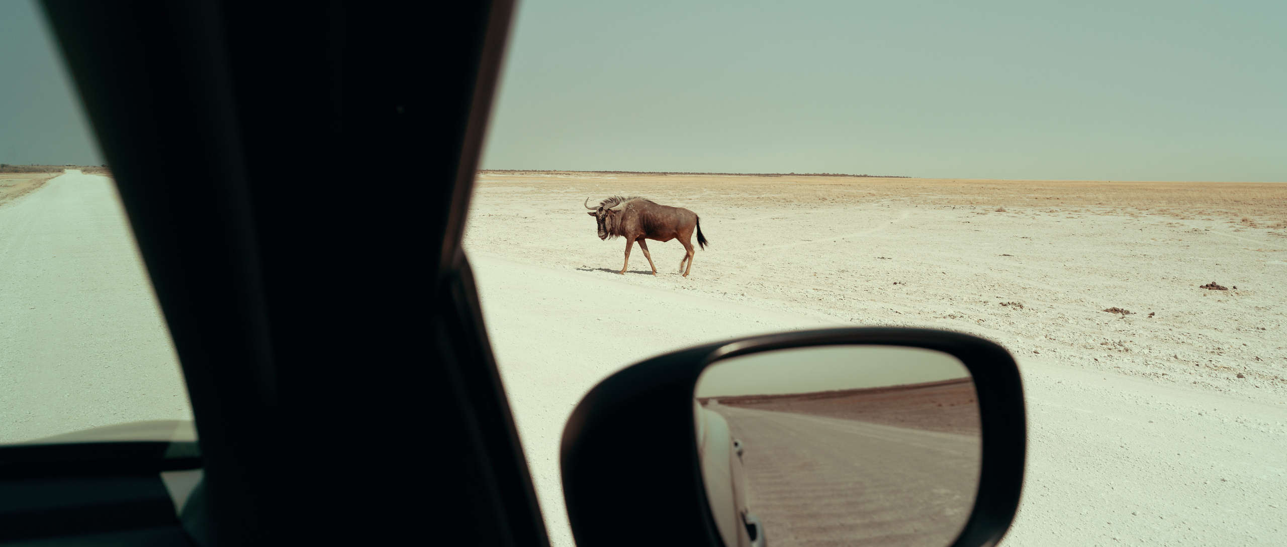 Путешествия. Фотограф в Хабаровске. Фотография за 24 часа