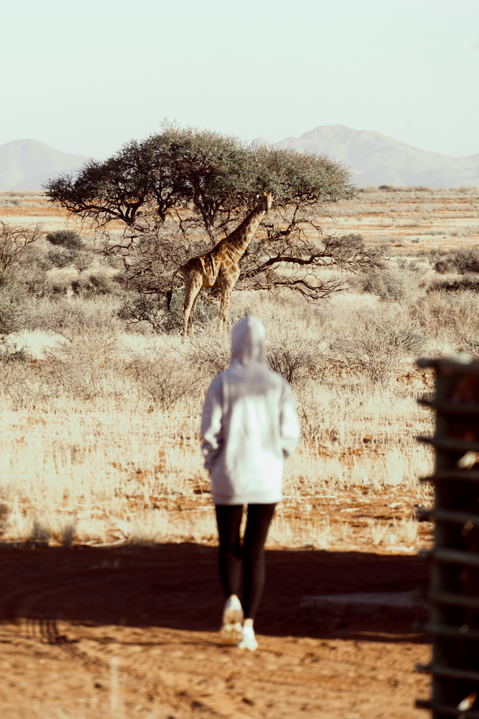 Южная Африка. Фотограф в Хабаровске. Фотография за 24 часа