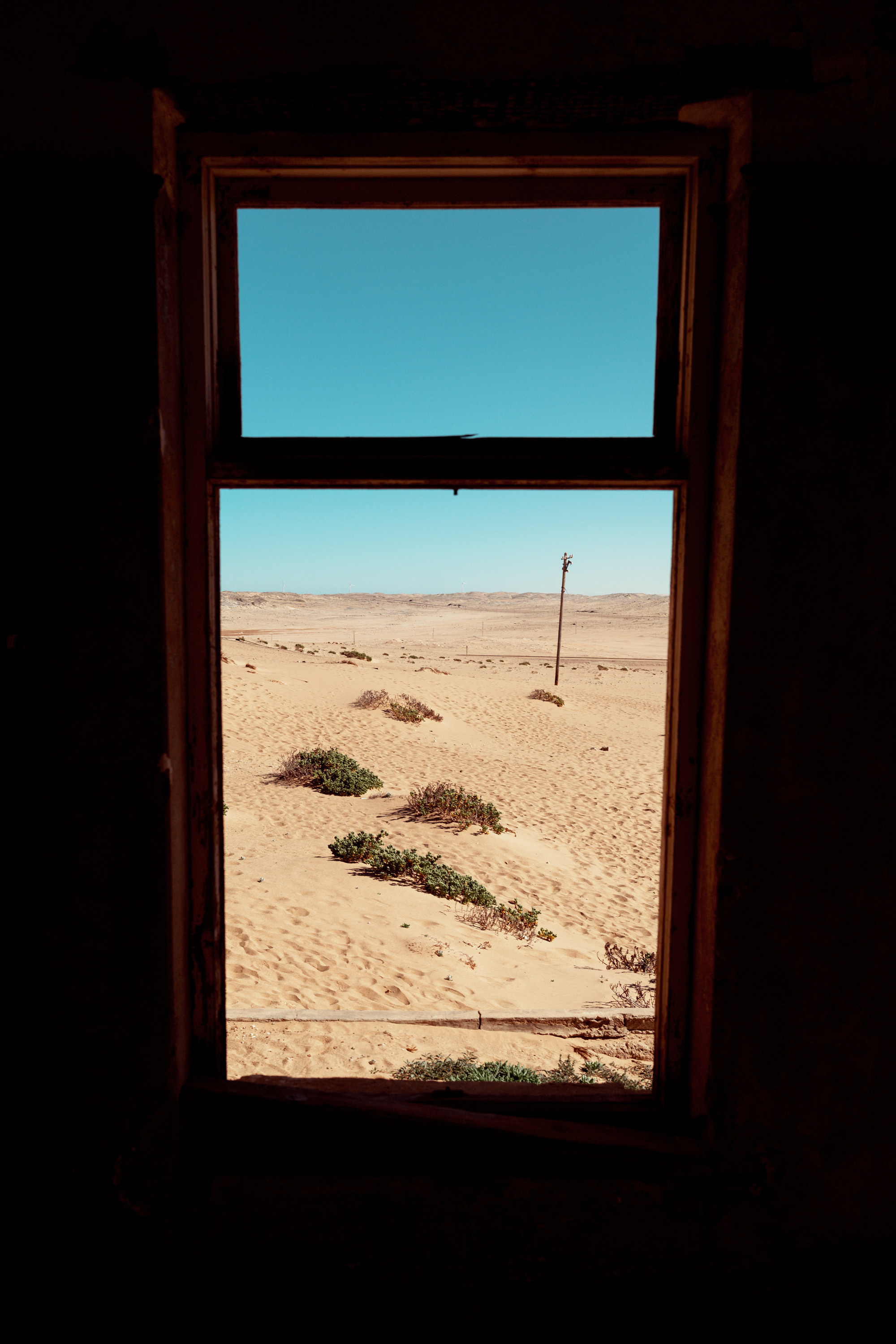 Южная Африка. Фотограф в Хабаровске. Фотография за 24 часа