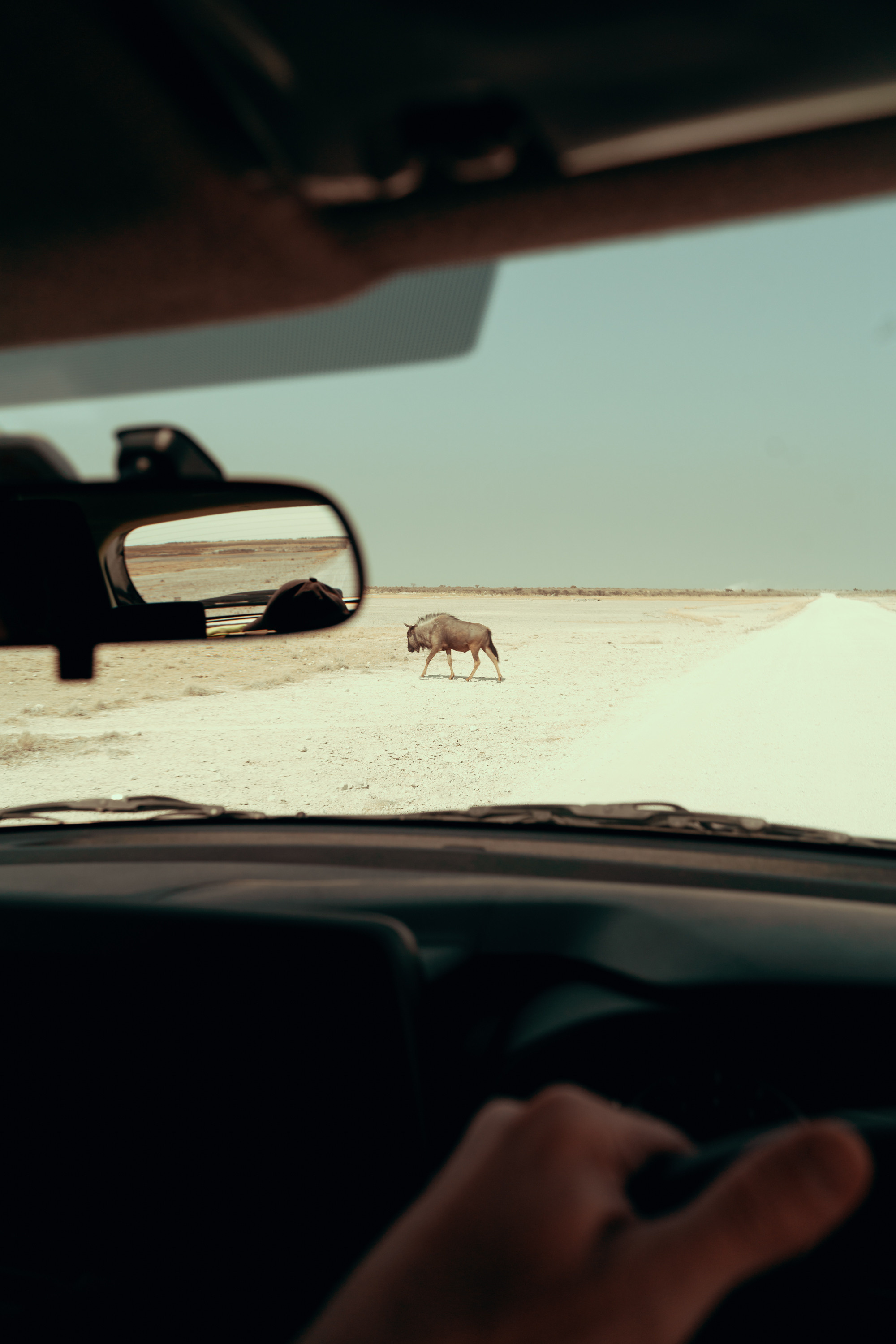 Южная Африка. Фотограф в Хабаровске. Фотография за 24 часа