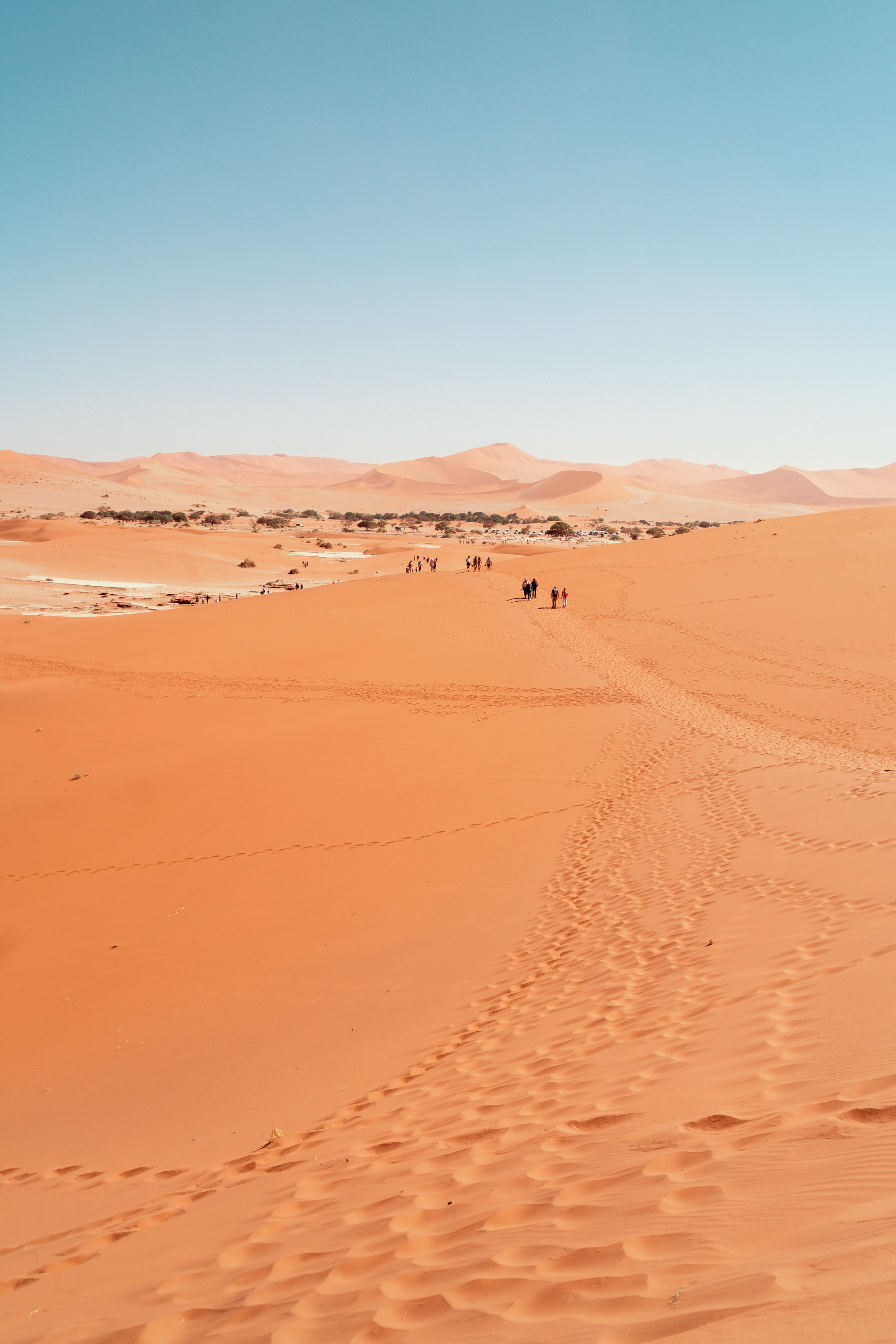 Путешествия. Фотограф в Хабаровске. Фотография за 24 часа