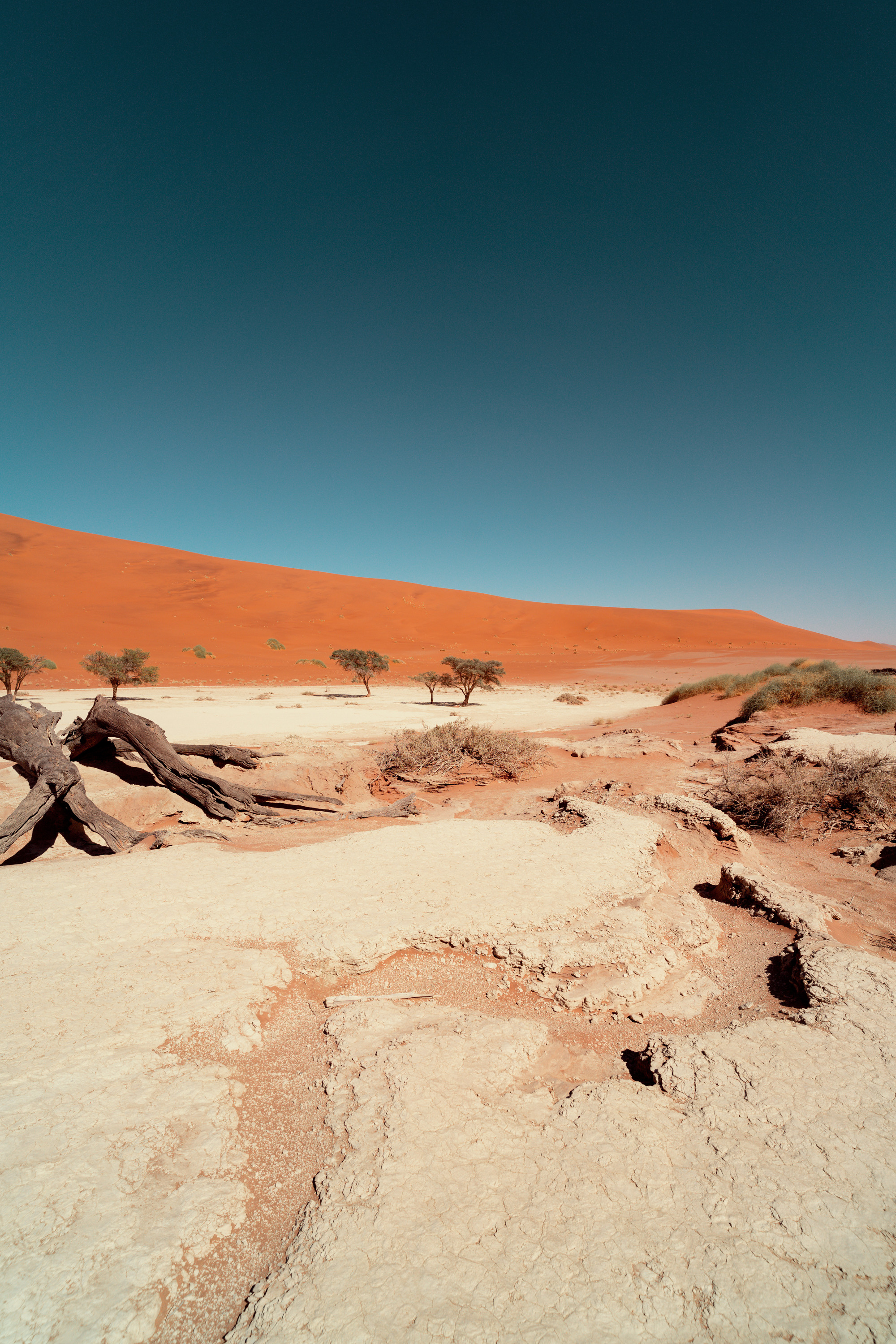 Южная Африка. Фотограф в Хабаровске. Фотография за 24 часа