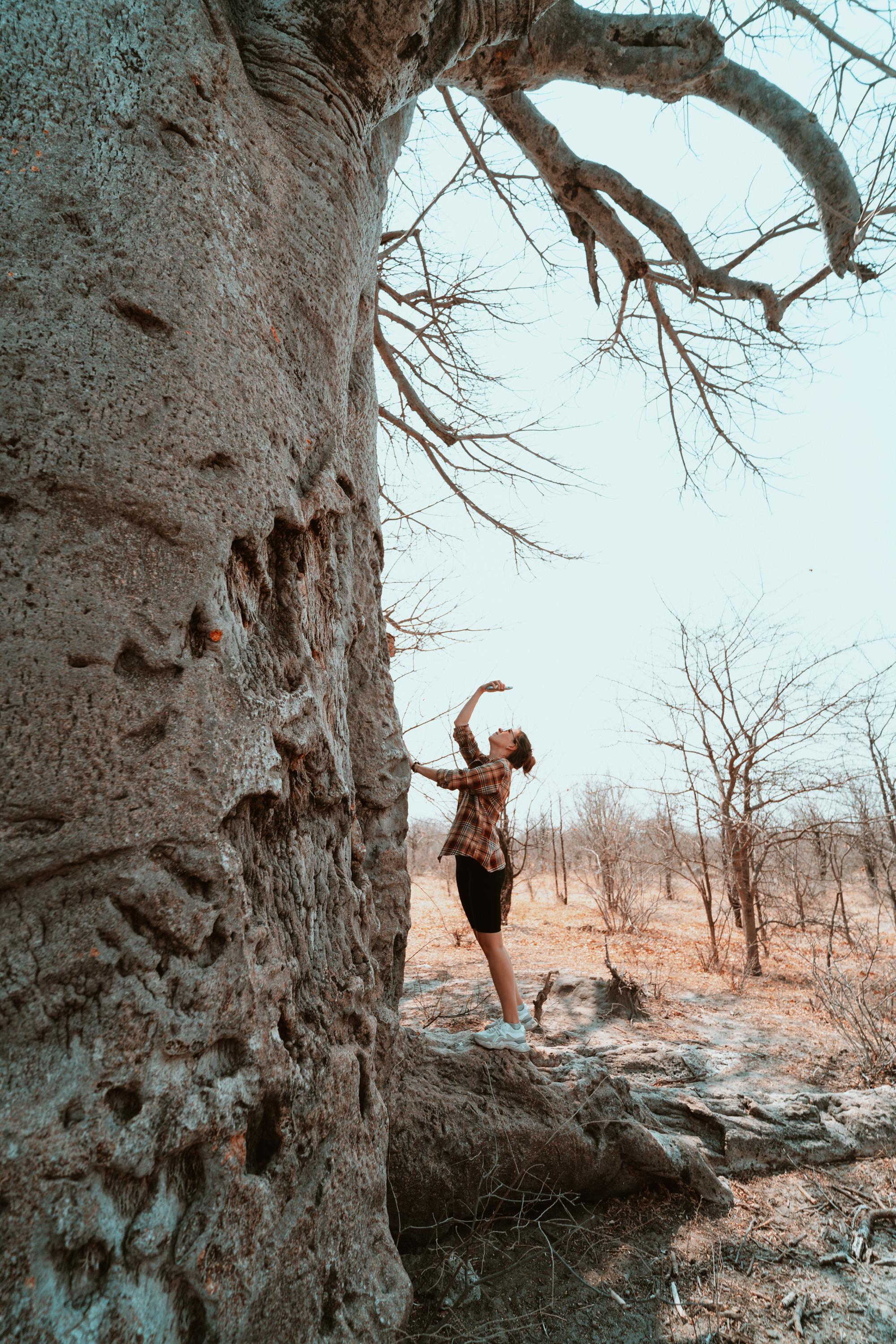 Южная Африка. Фотограф в Хабаровске. Фотография за 24 часа