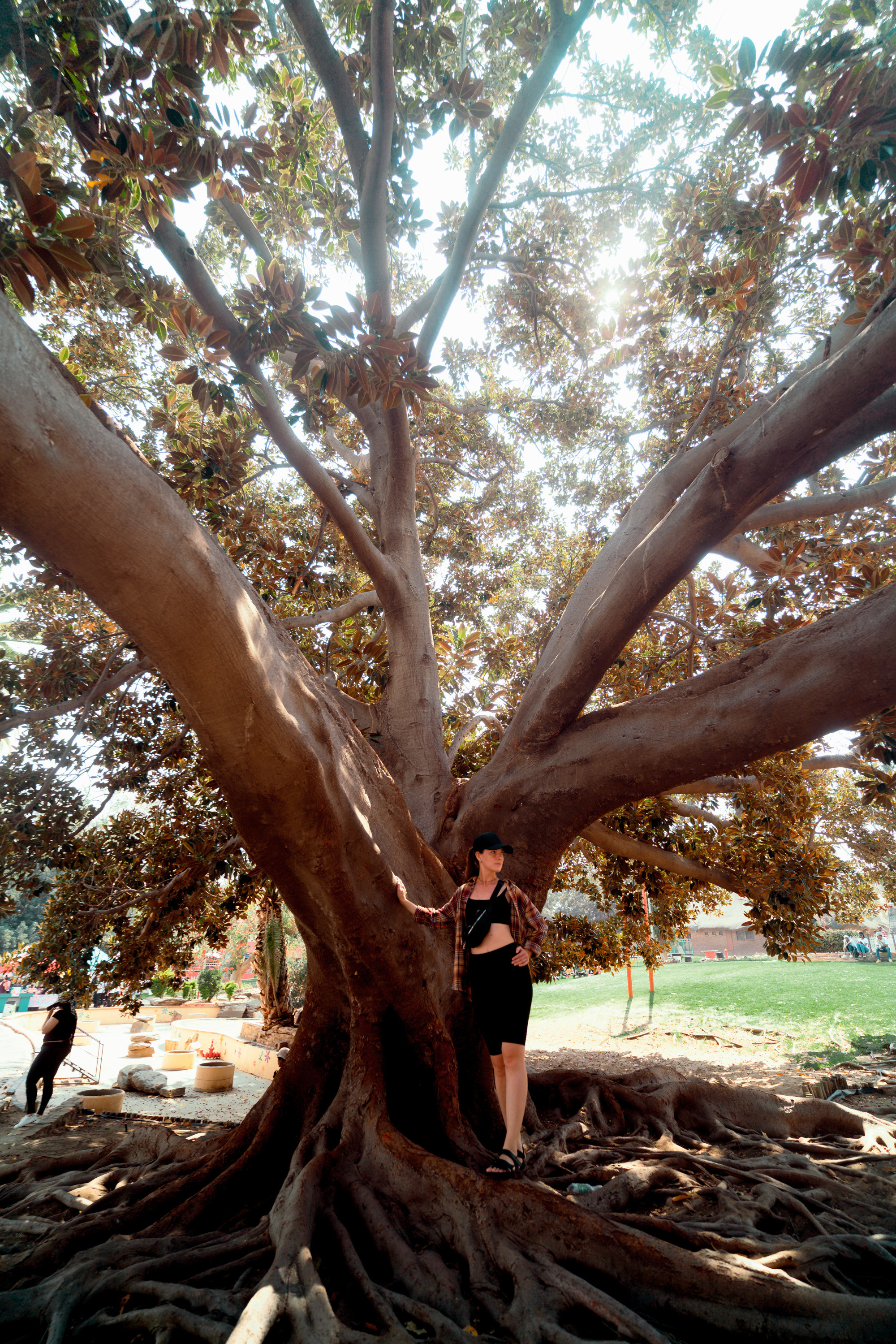 Южная Африка. Фотограф в Хабаровске. Фотография за 24 часа