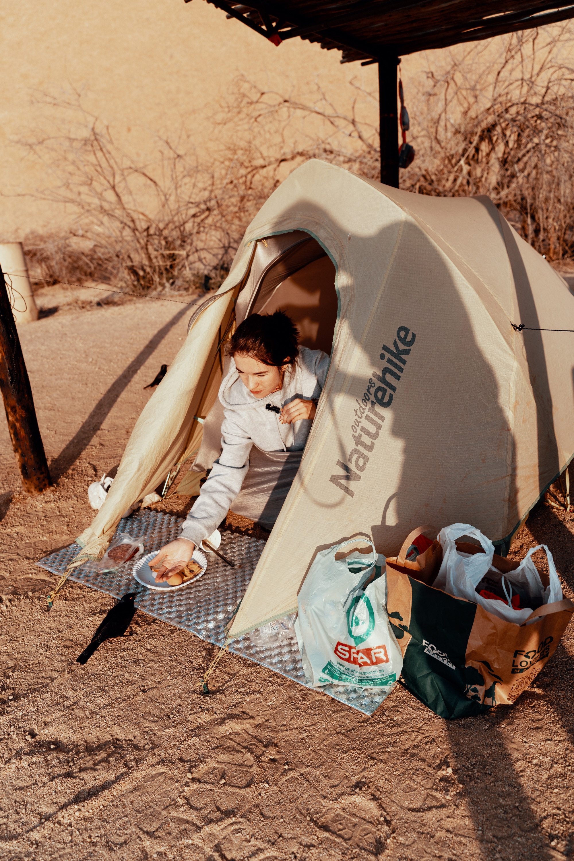 Южная Африка. Фотограф в Хабаровске. Фотография за 24 часа