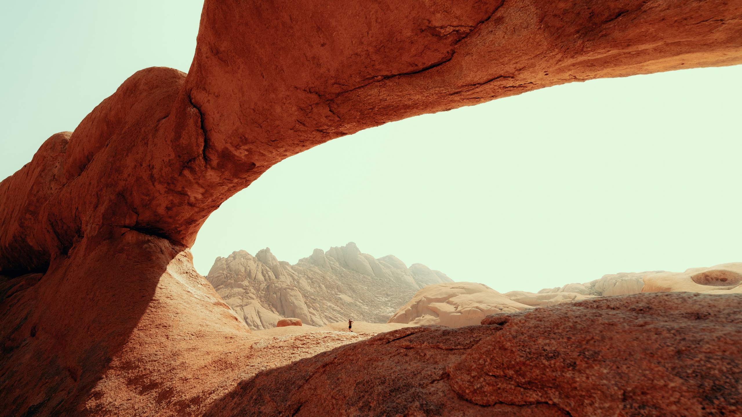 Южная Африка. Фотограф в Хабаровске. Фотография за 24 часа