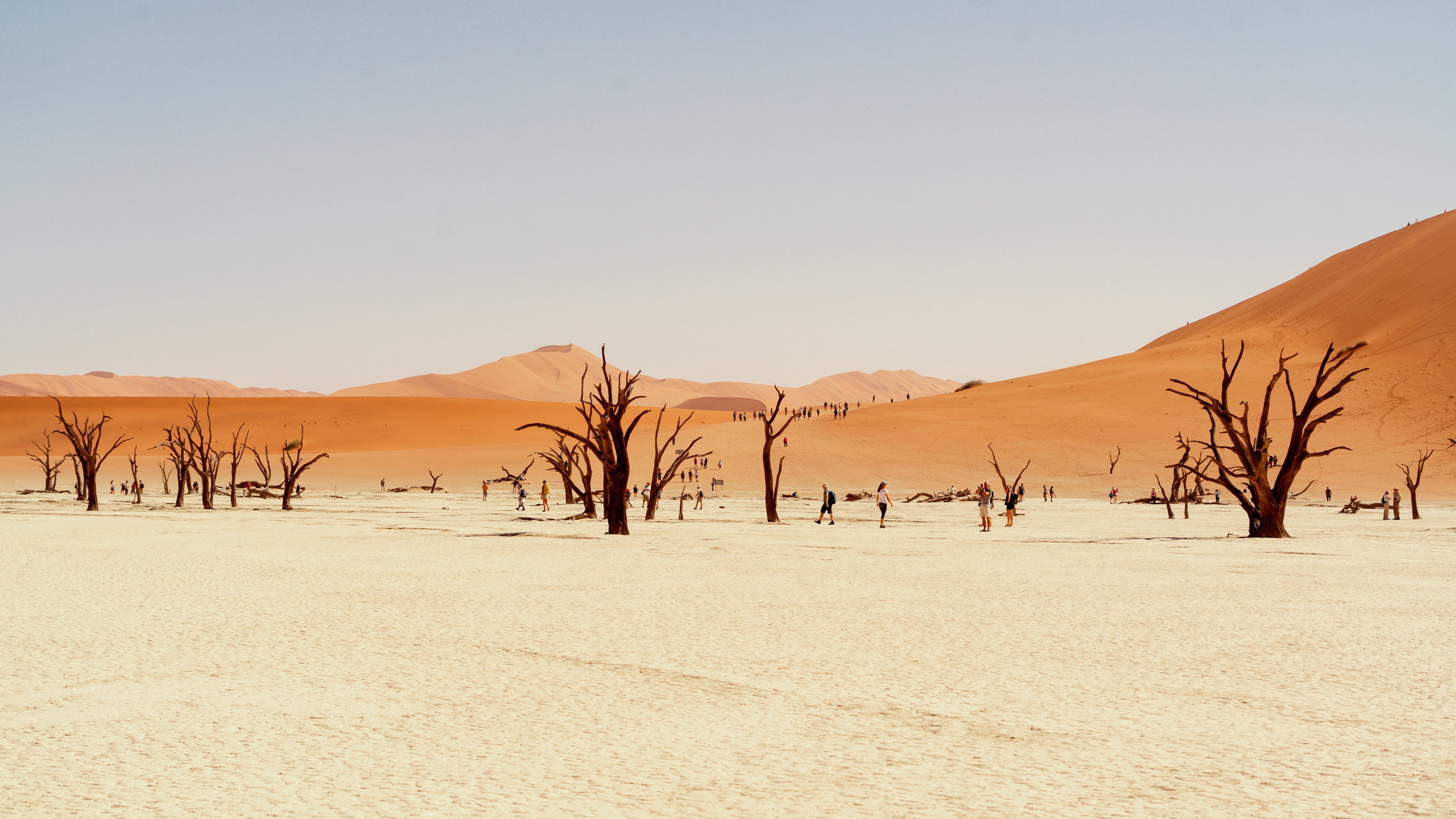 Южная Африка. Фотограф в Хабаровске. Фотография за 24 часа