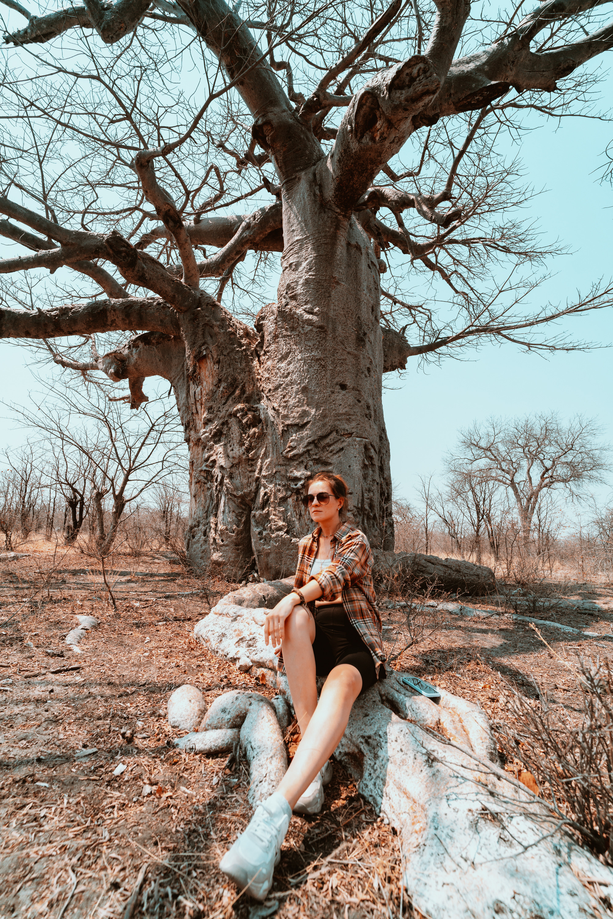 Южная Африка. Фотограф в Хабаровске. Фотография за 24 часа