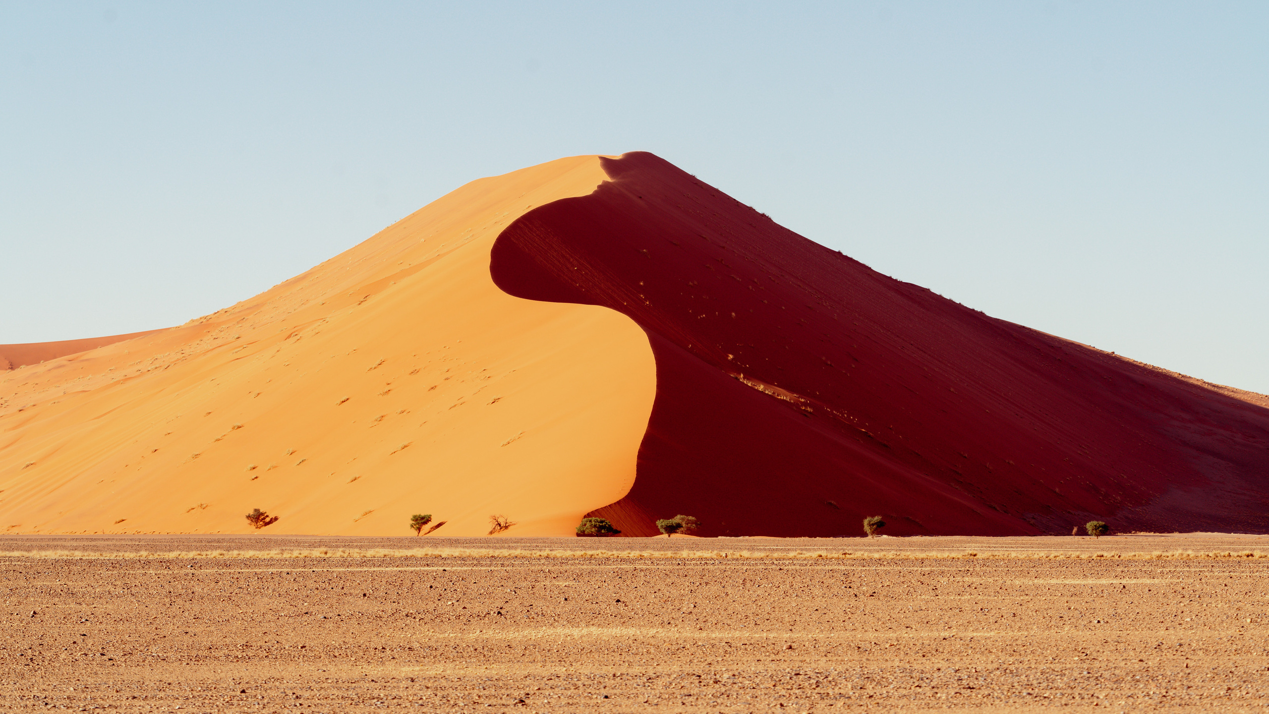 Южная Африка. Фотограф в Хабаровске. Фотография за 24 часа