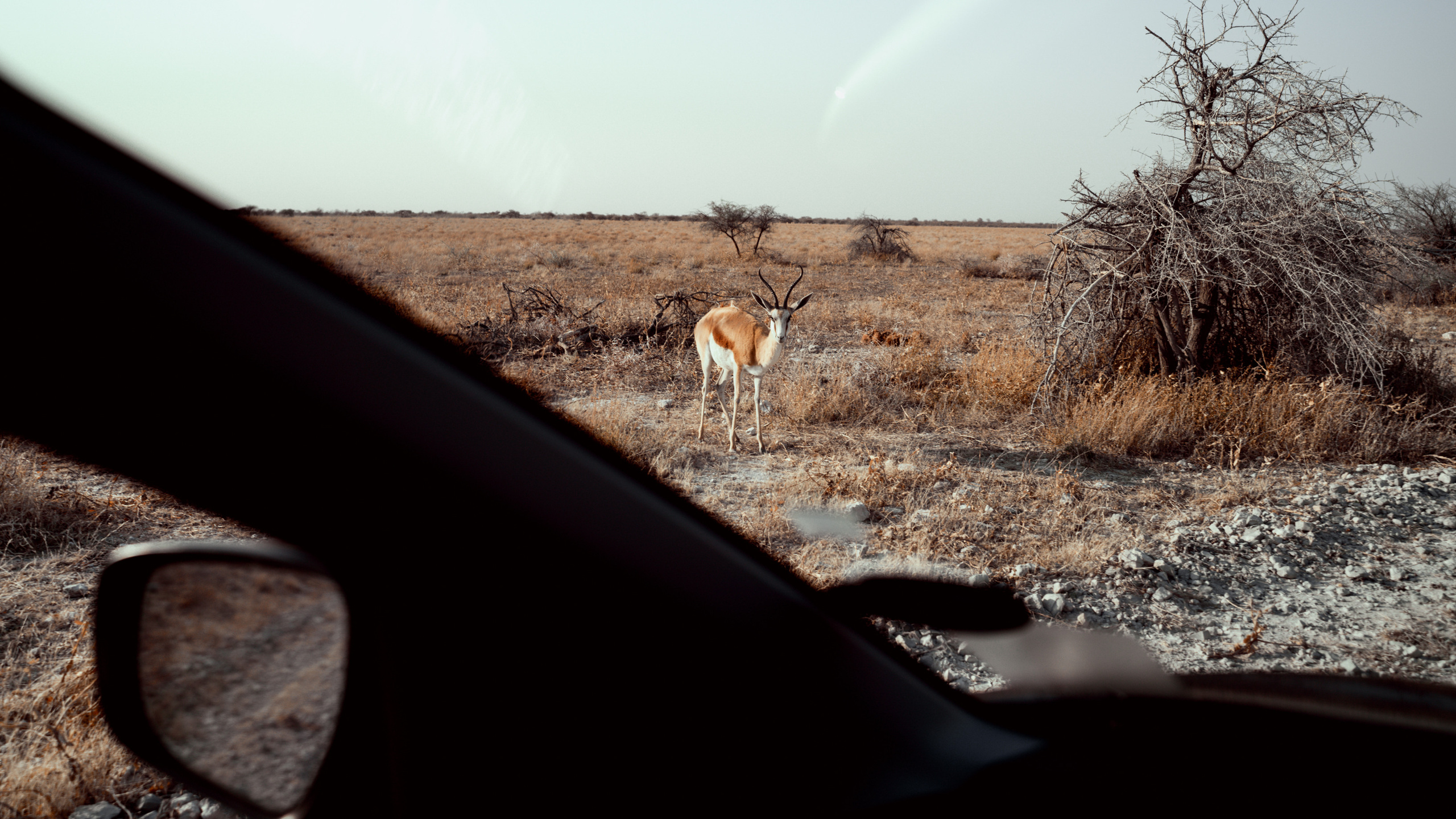 Путешествия. Фотограф в Хабаровске. Фотография за 24 часа