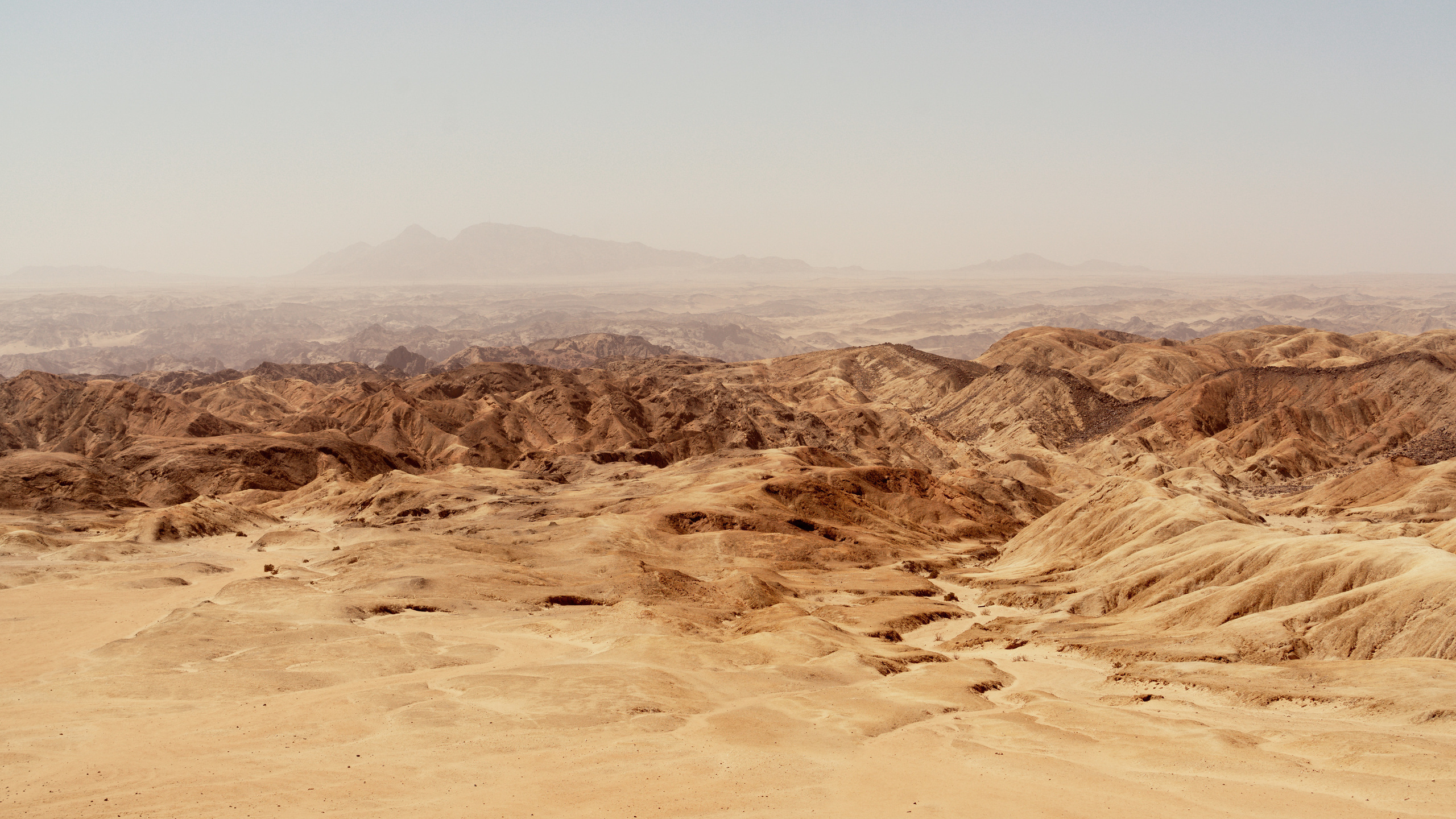 Путешествия. Фотограф в Хабаровске. Фотография за 24 часа