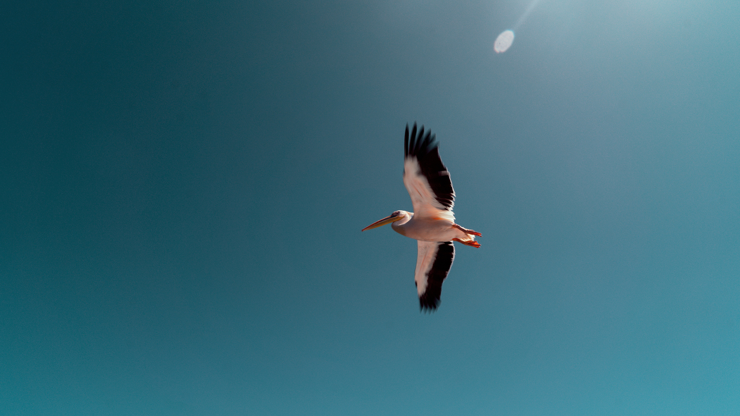 Путешествия. Фотограф в Хабаровске. Фотография за 24 часа