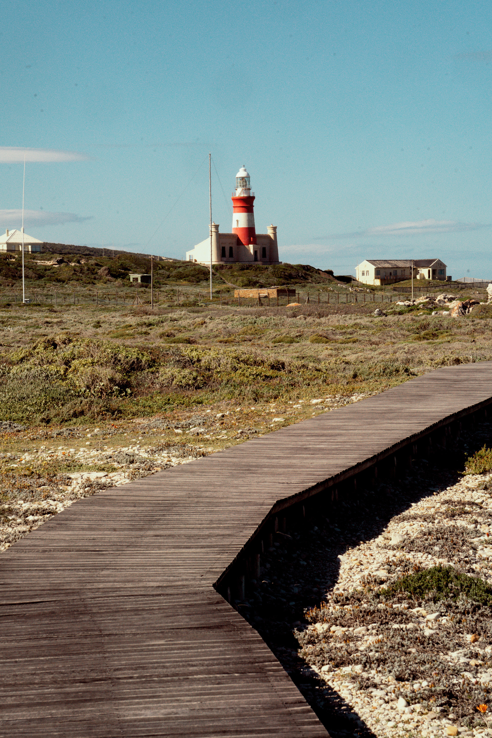 Южная Африка. Фотограф в Хабаровске. Фотография за 24 часа