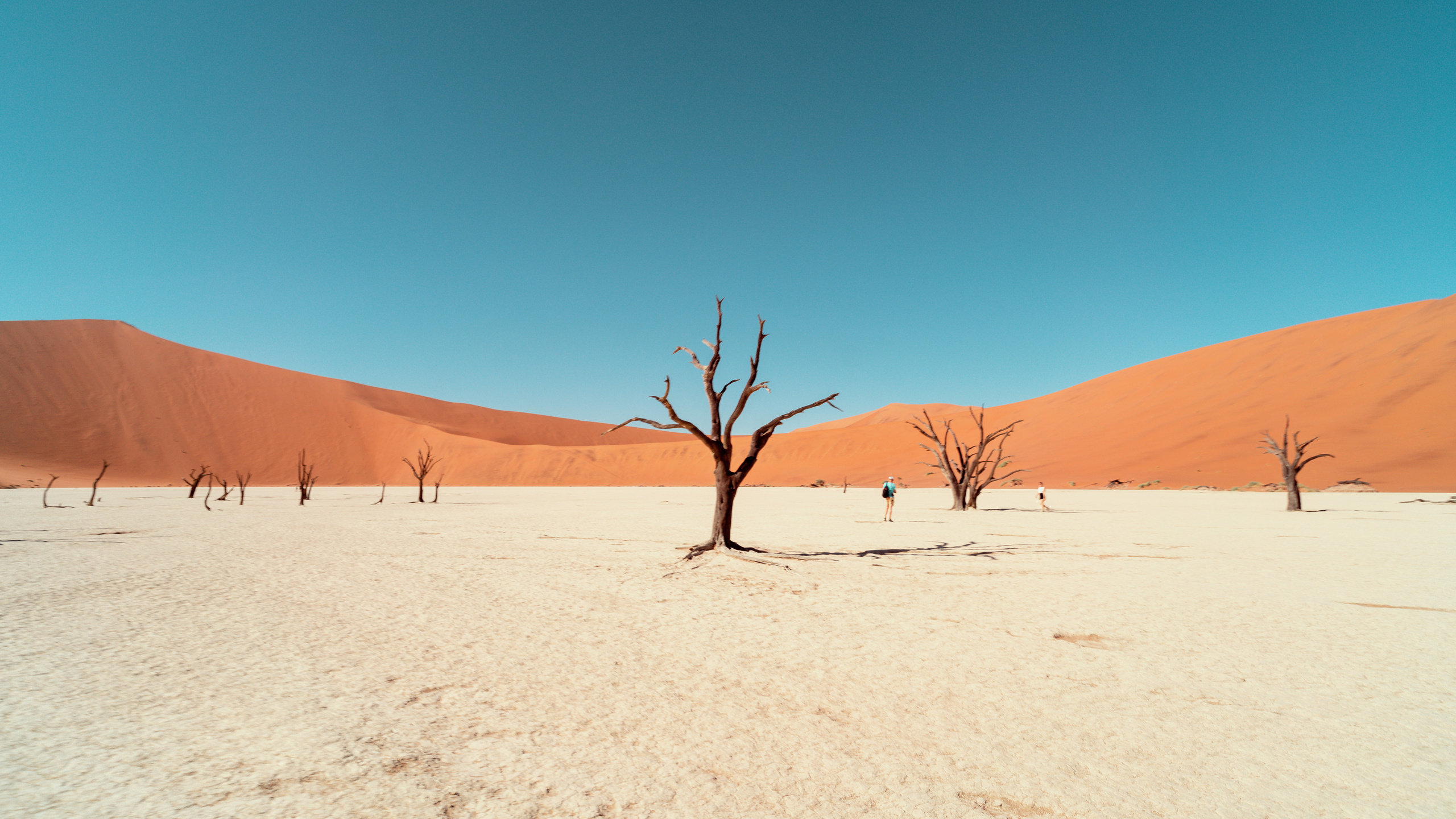 Путешествия. Фотограф в Хабаровске. Фотография за 24 часа