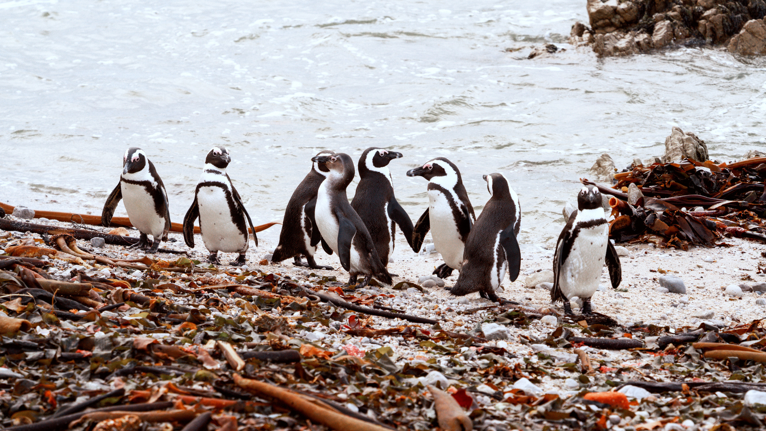 Путешествия. Фотограф в Хабаровске. Фотография за 24 часа