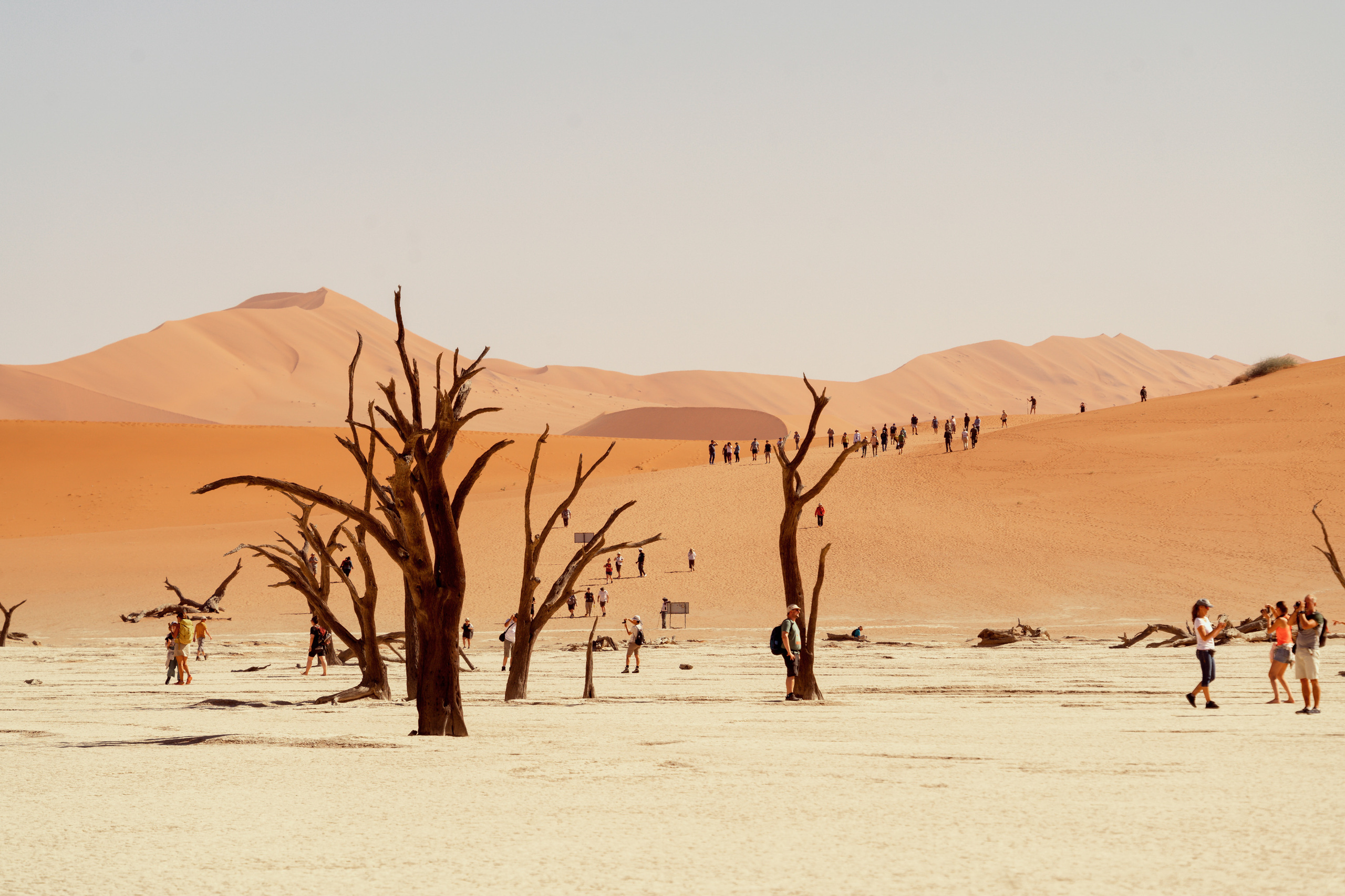 Южная Африка. Фотограф в Хабаровске. Фотография за 24 часа