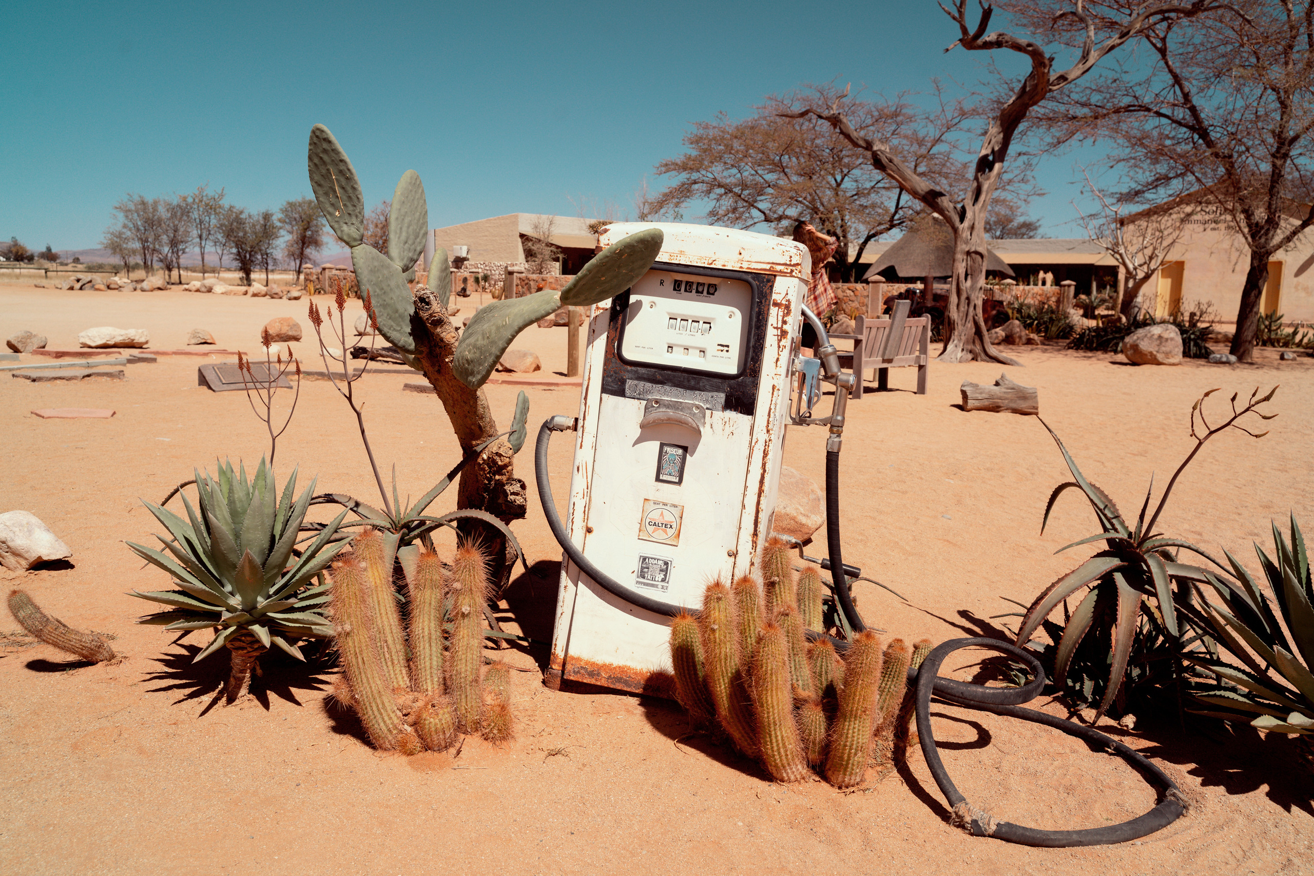 Южная Африка. Фотограф в Хабаровске. Фотография за 24 часа