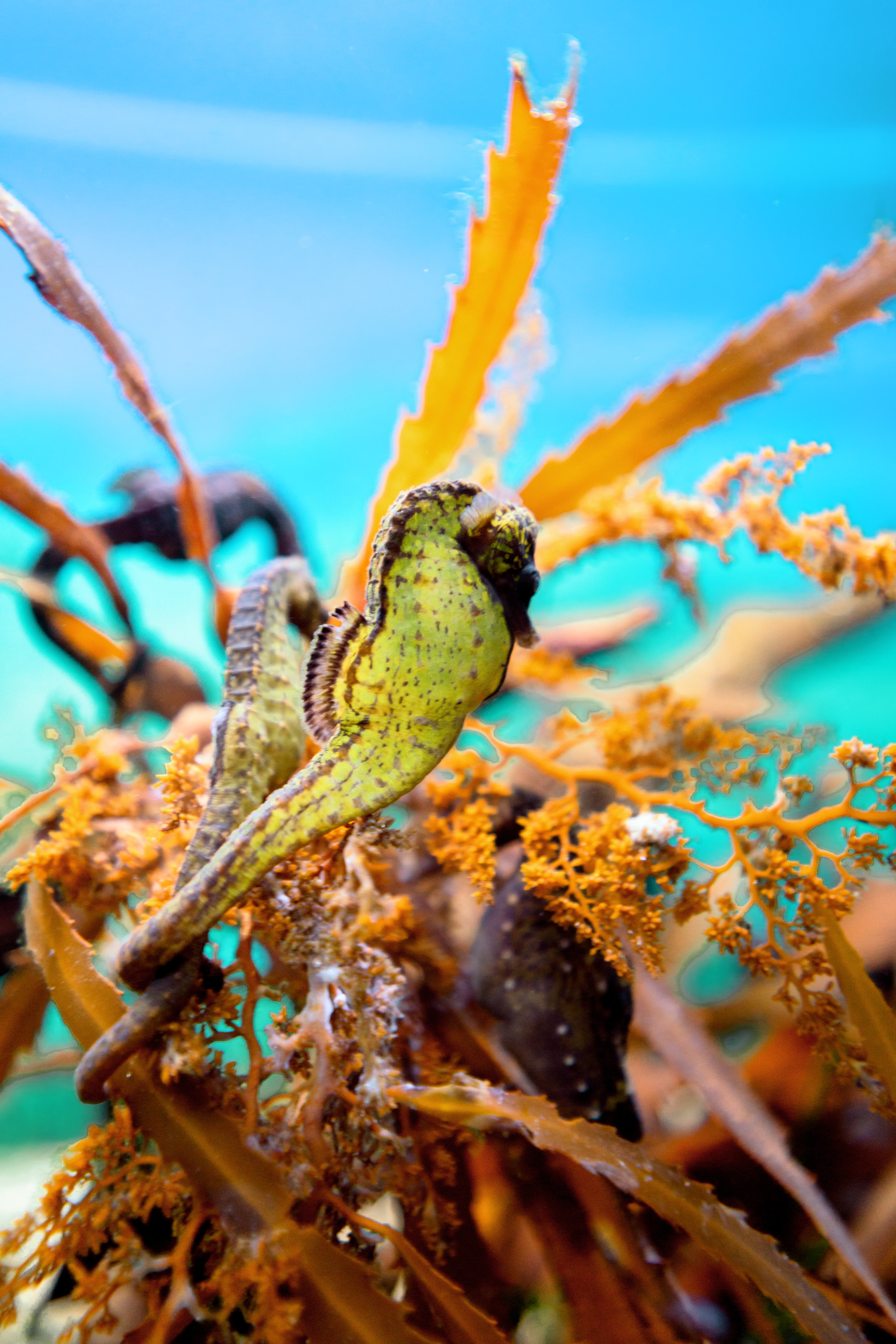 Южная Африка. Фотограф в Хабаровске. Фотография за 24 часа