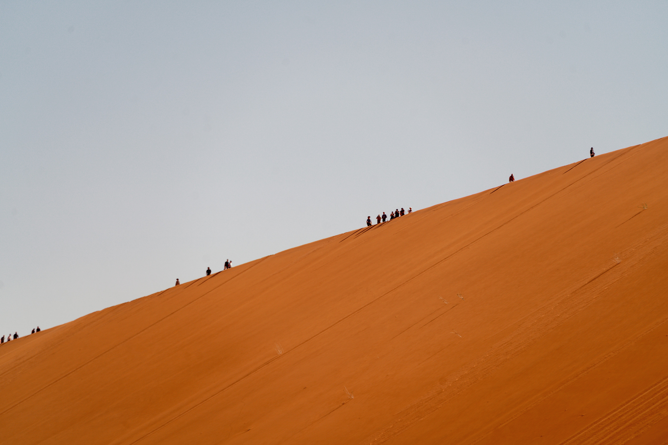 Южная Африка. Фотограф в Хабаровске. Фотография за 24 часа