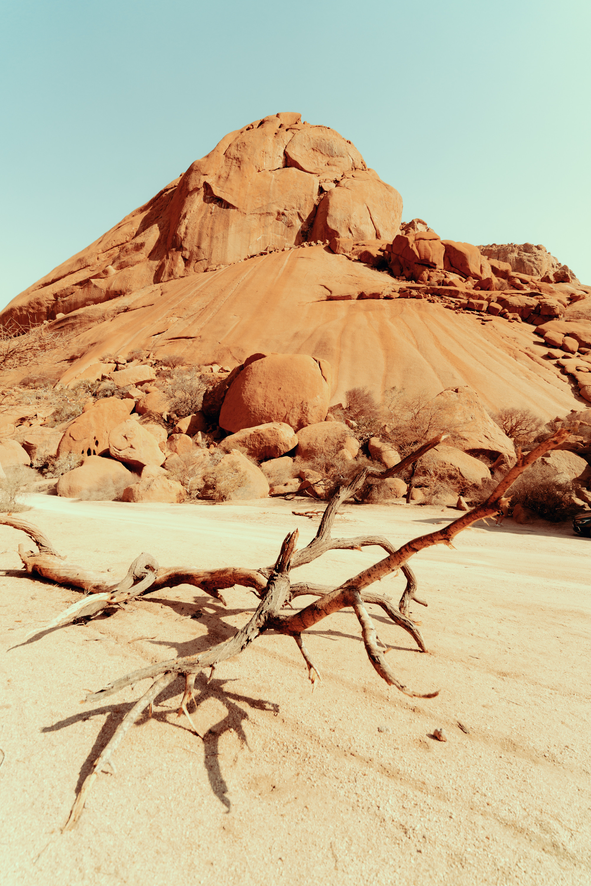 Южная Африка. Фотограф в Хабаровске. Фотография за 24 часа