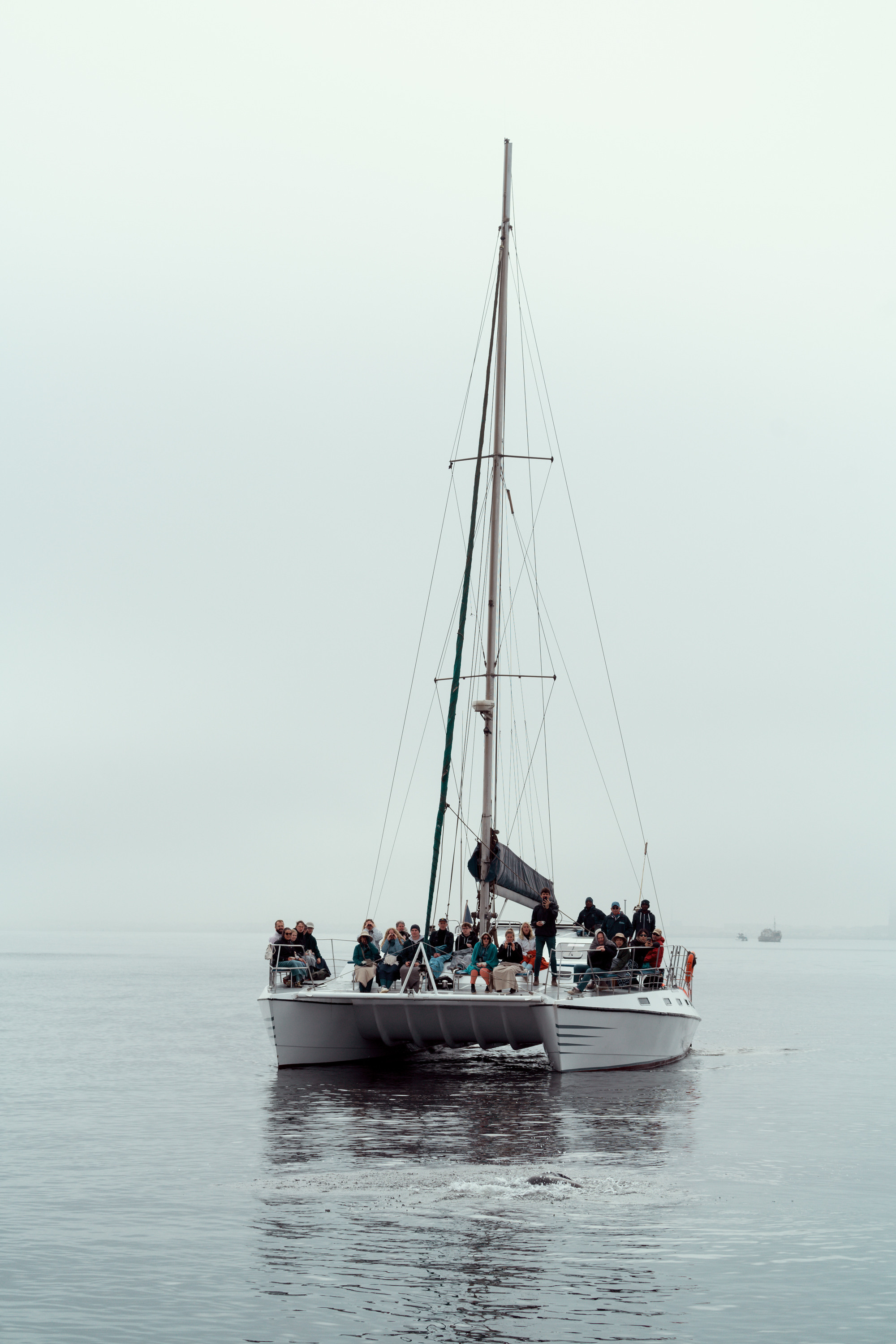 Южная Африка. Фотограф в Хабаровске. Фотография за 24 часа