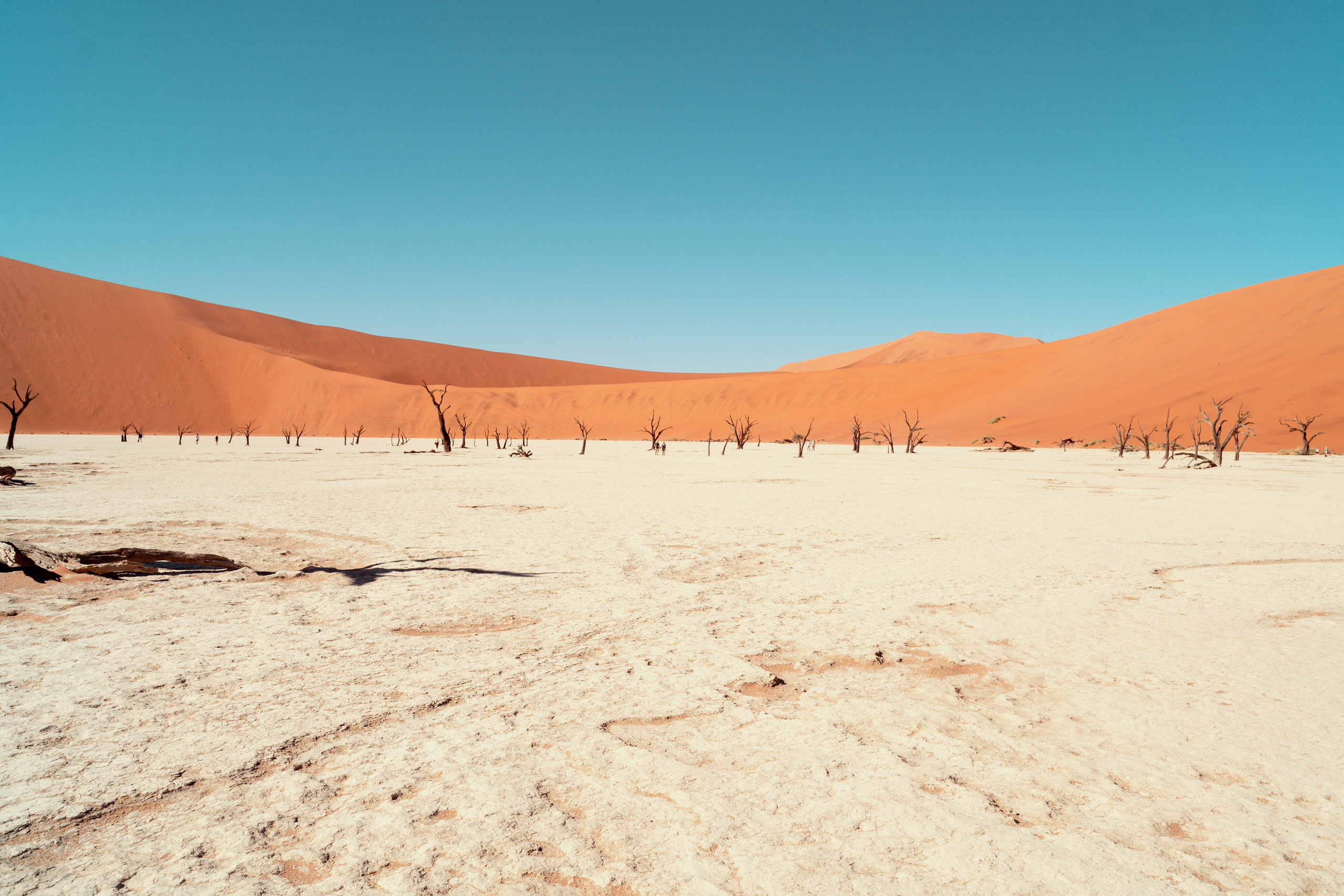 Южная Африка. Фотограф в Хабаровске. Фотография за 24 часа