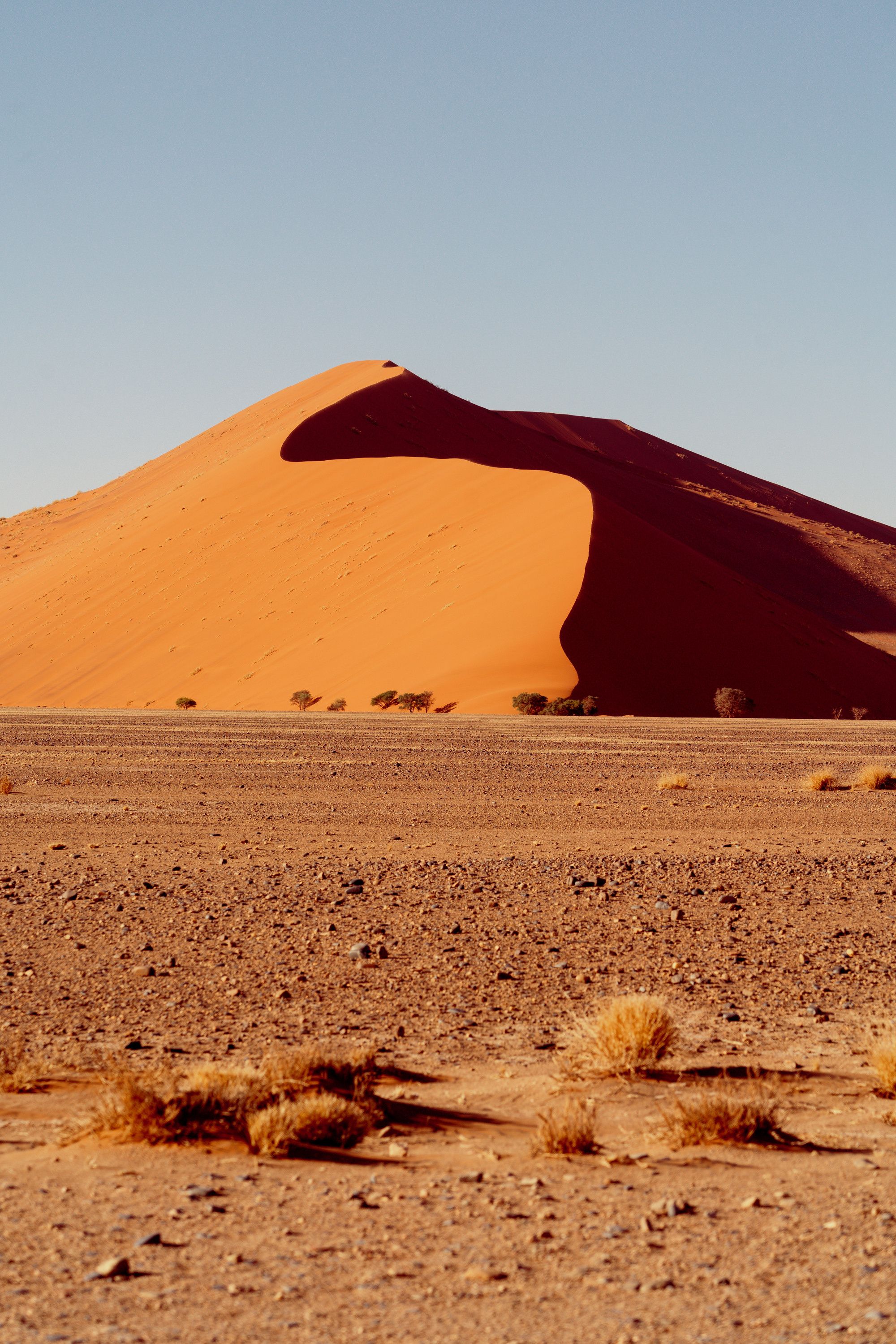 Южная Африка. Фотограф в Хабаровске. Фотография за 24 часа