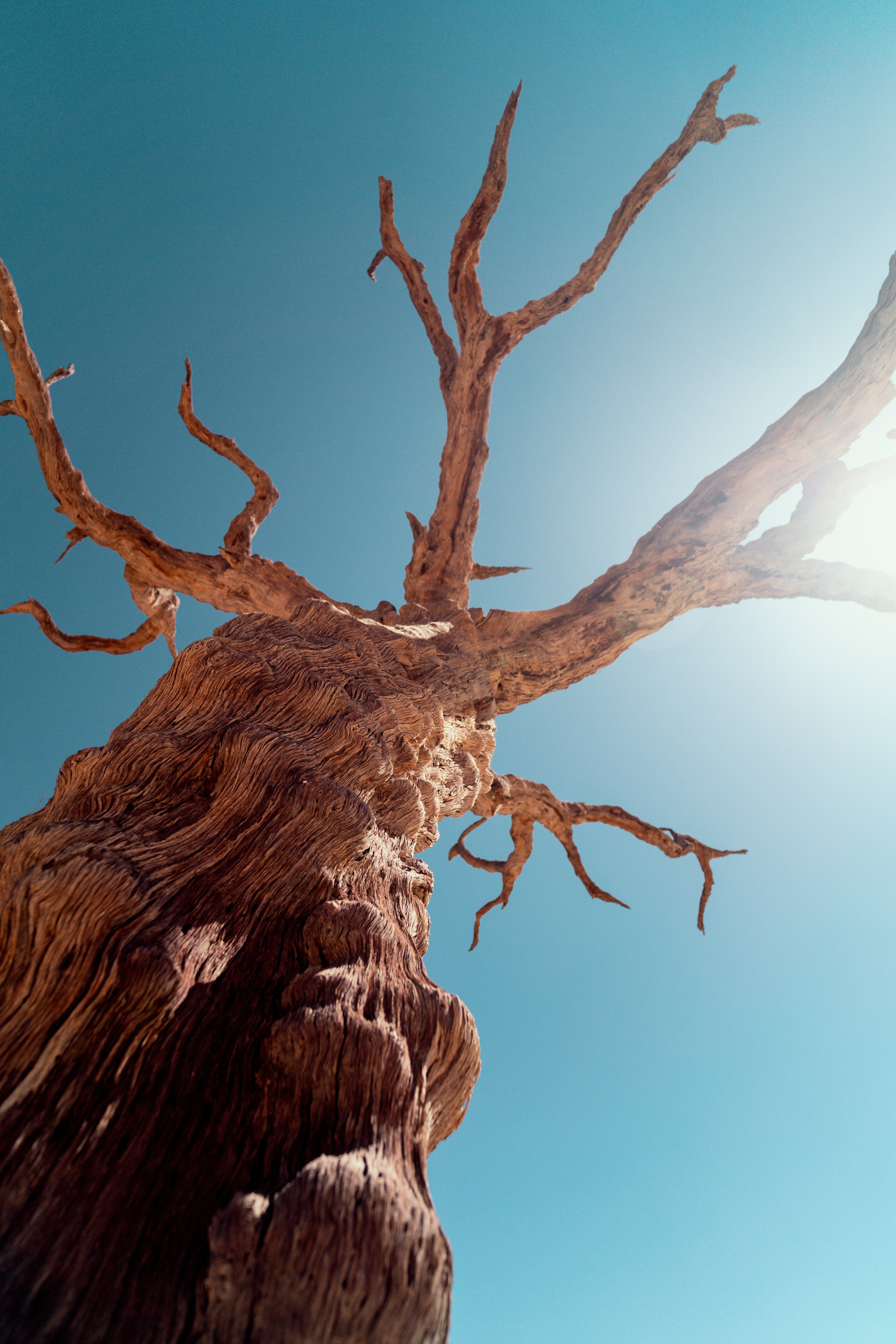 Путешествия. Фотограф в Хабаровске. Фотография за 24 часа