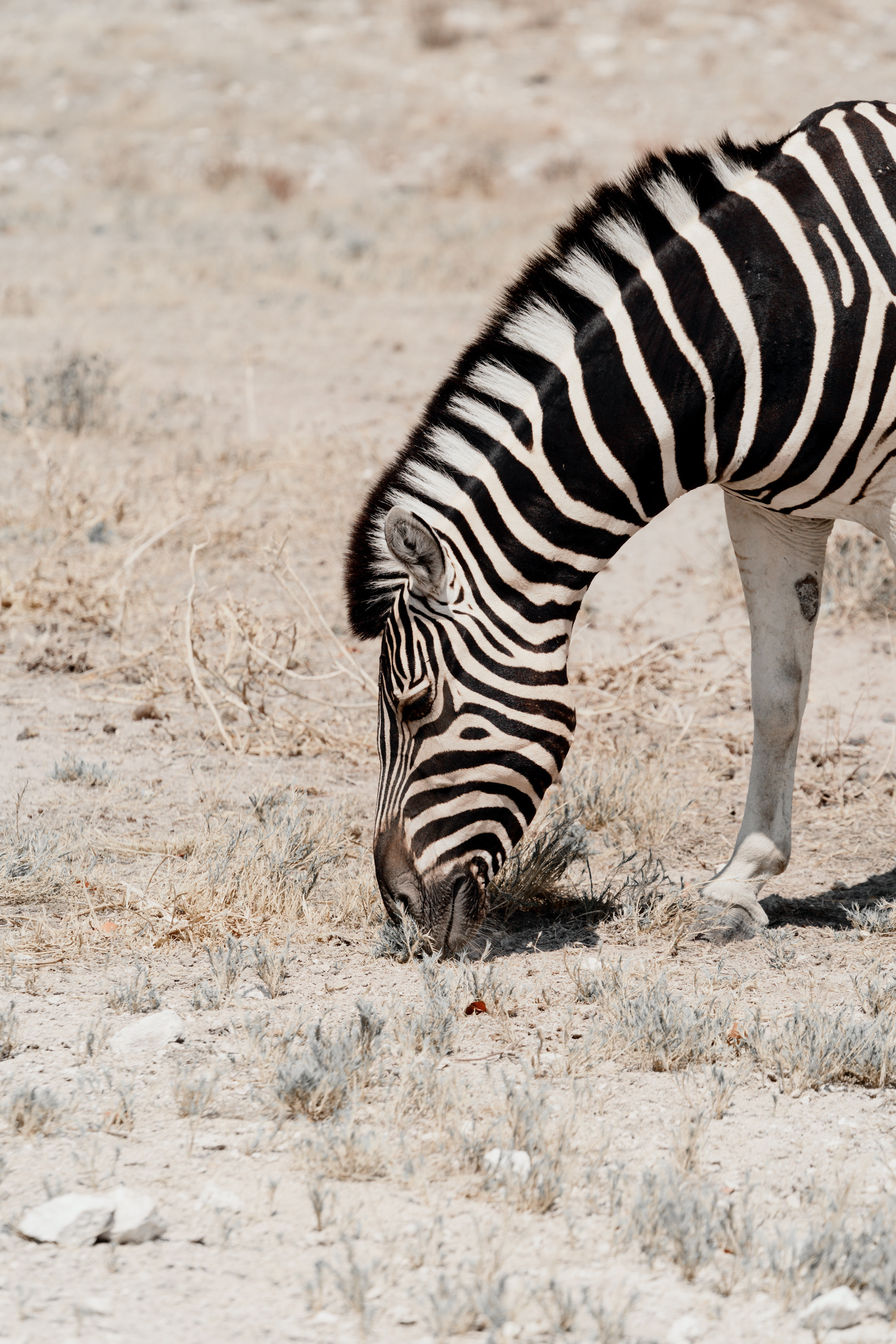 Путешествия. Фотограф в Хабаровске. Фотография за 24 часа