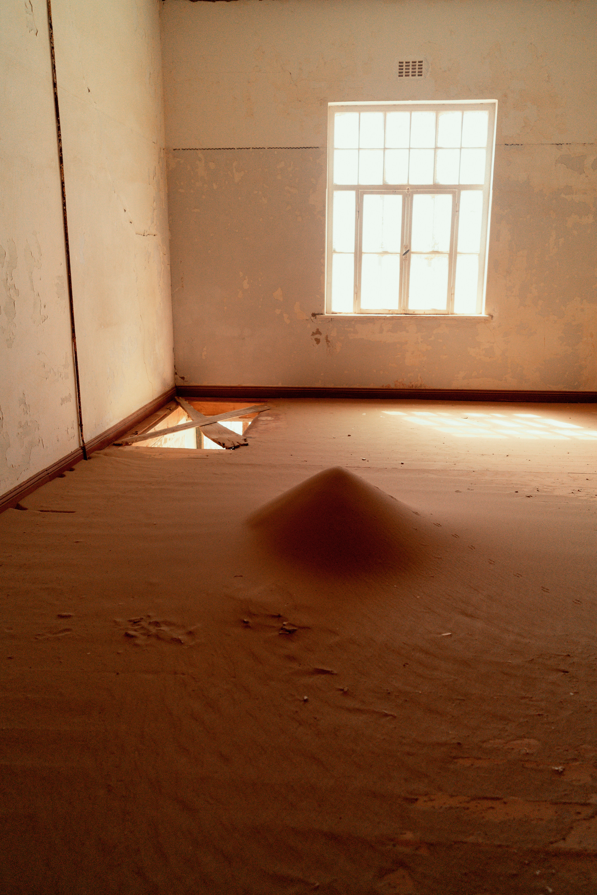 Южная Африка. Фотограф в Хабаровске. Фотография за 24 часа