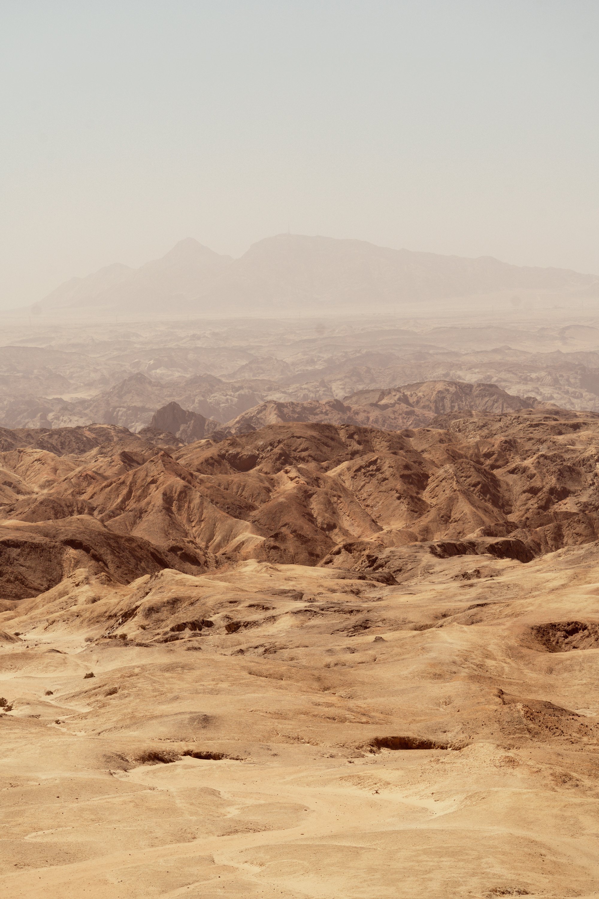 Южная Африка. Фотограф в Хабаровске. Фотография за 24 часа