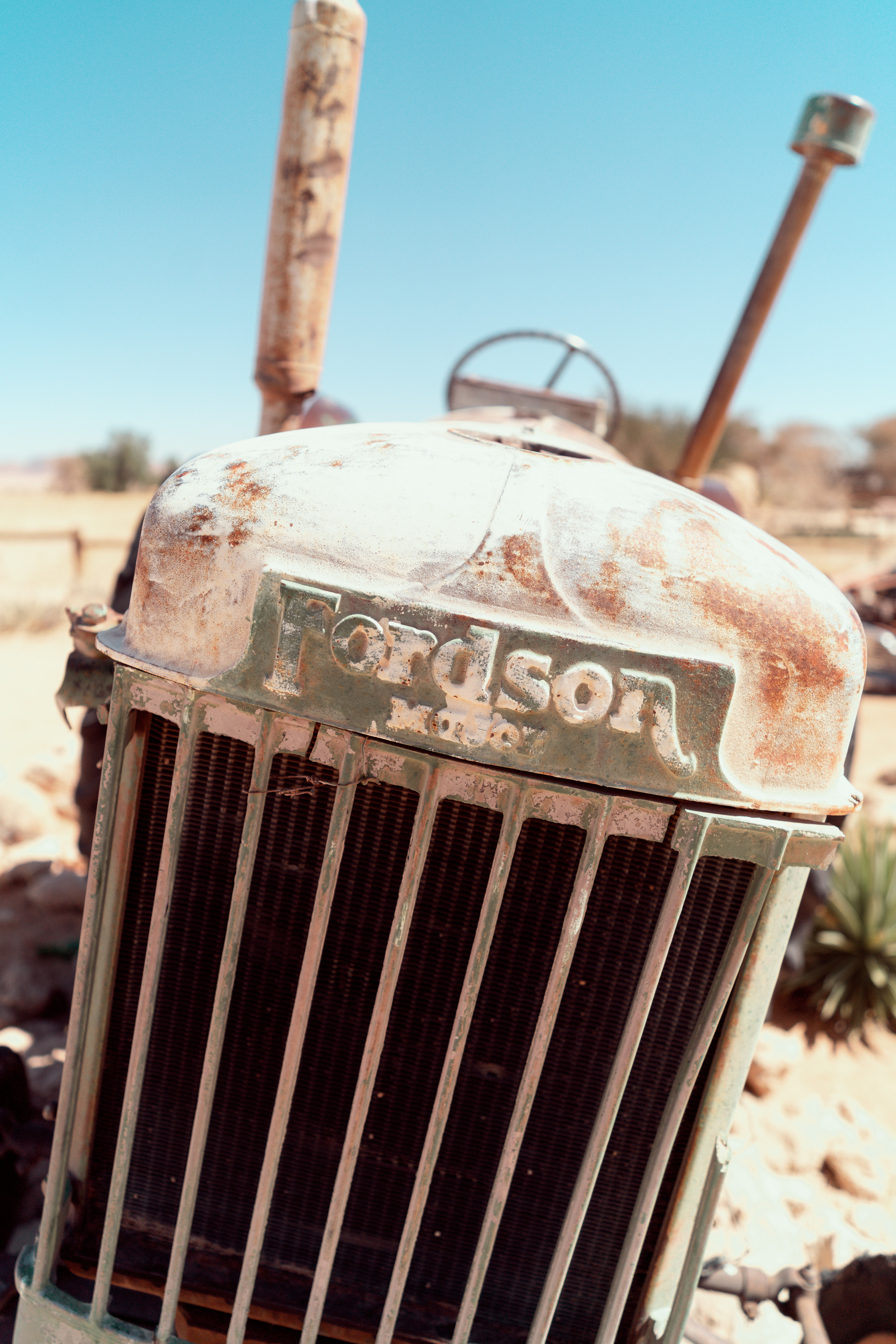 Южная Африка. Фотограф в Хабаровске. Фотография за 24 часа