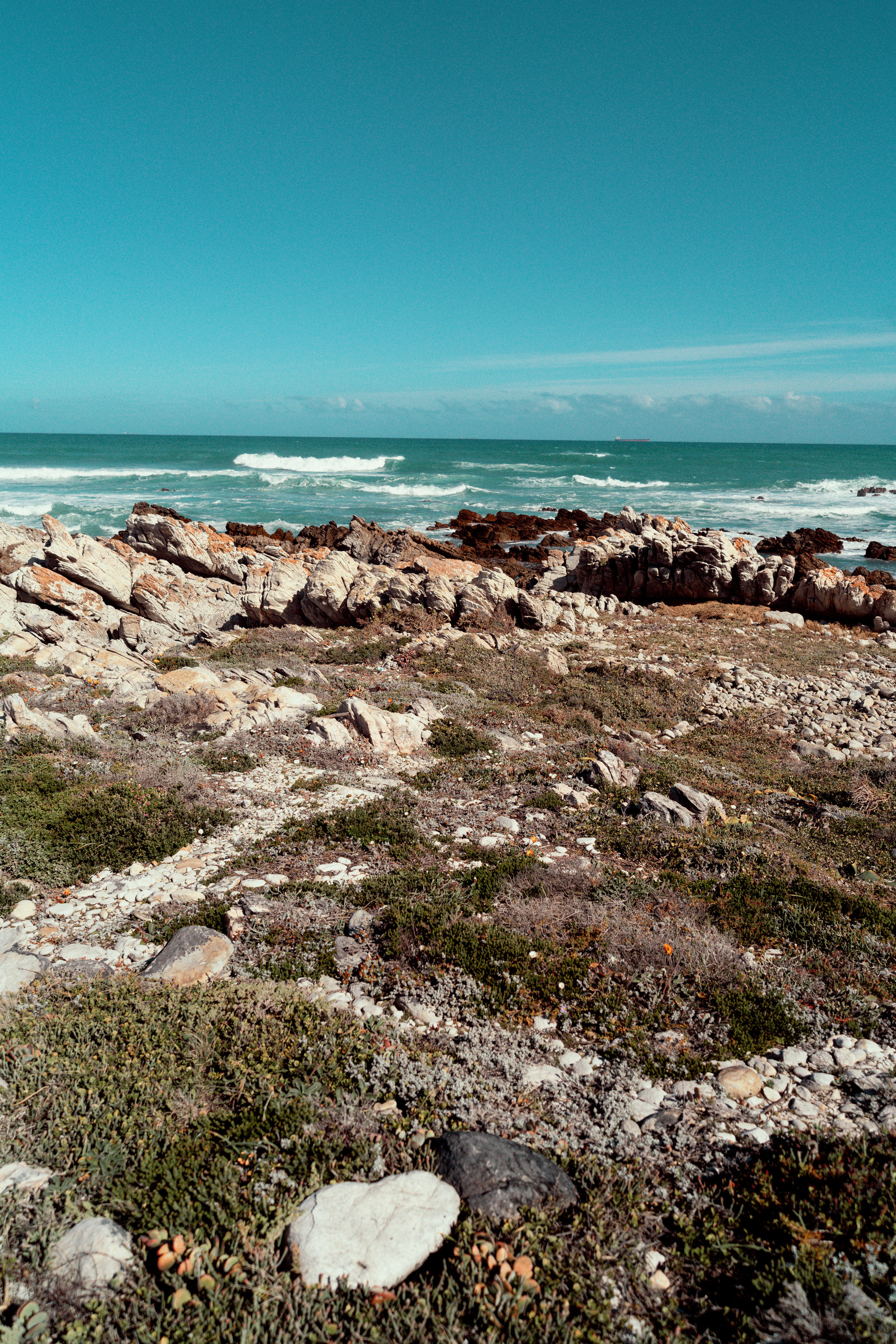 Южная Африка. Фотограф в Хабаровске. Фотография за 24 часа