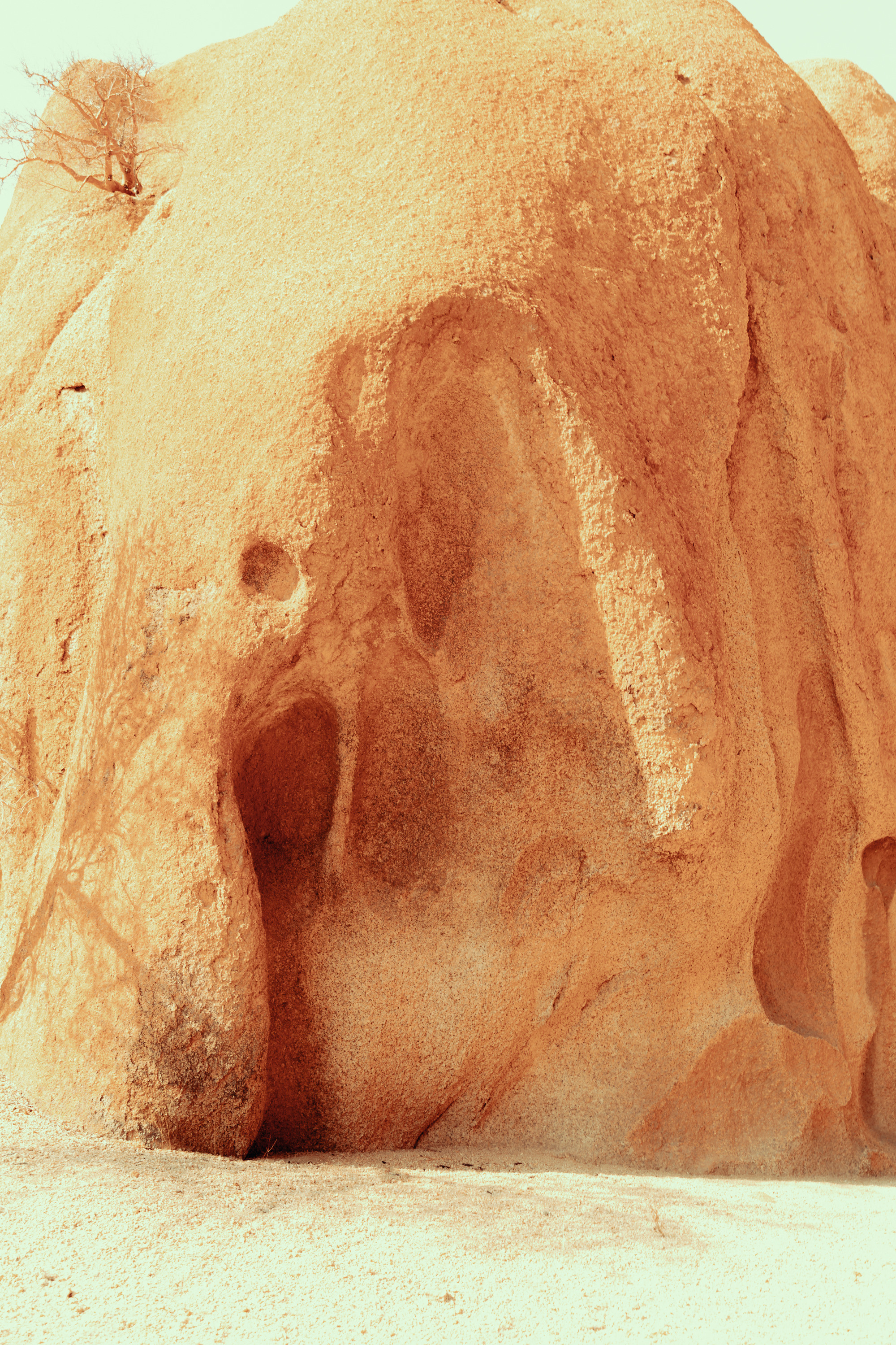 Южная Африка. Фотограф в Хабаровске. Фотография за 24 часа