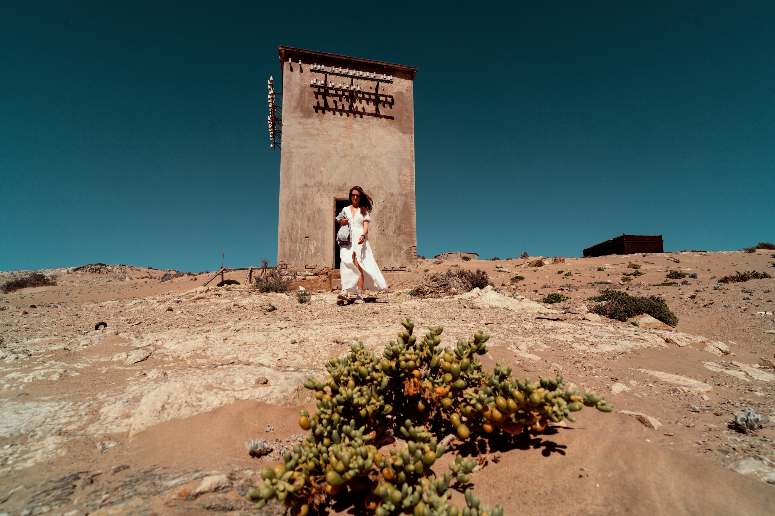 Южная Африка. Фотограф в Хабаровске. Фотография за 24 часа