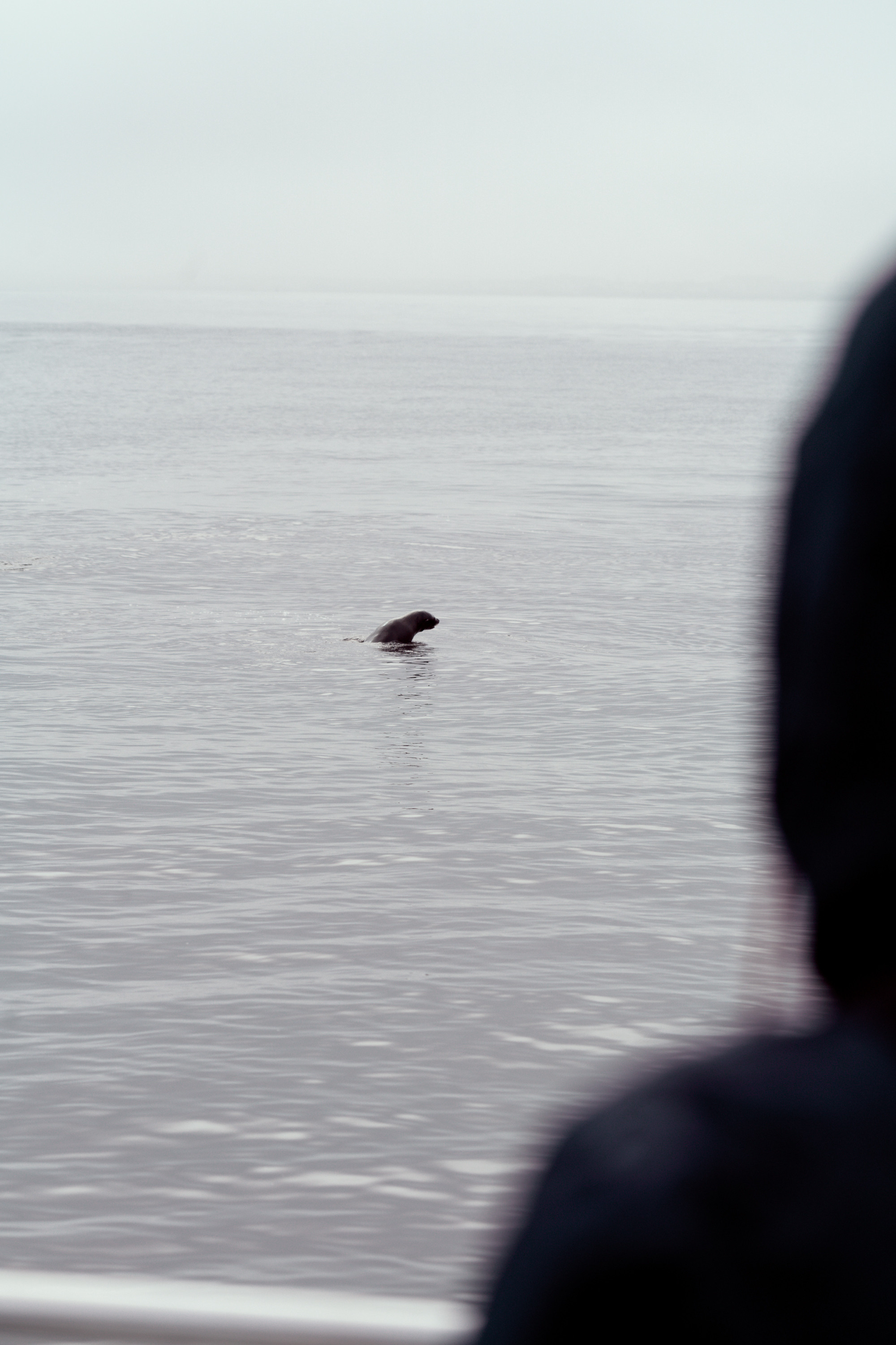 Южная Африка. Фотограф в Хабаровске. Фотография за 24 часа