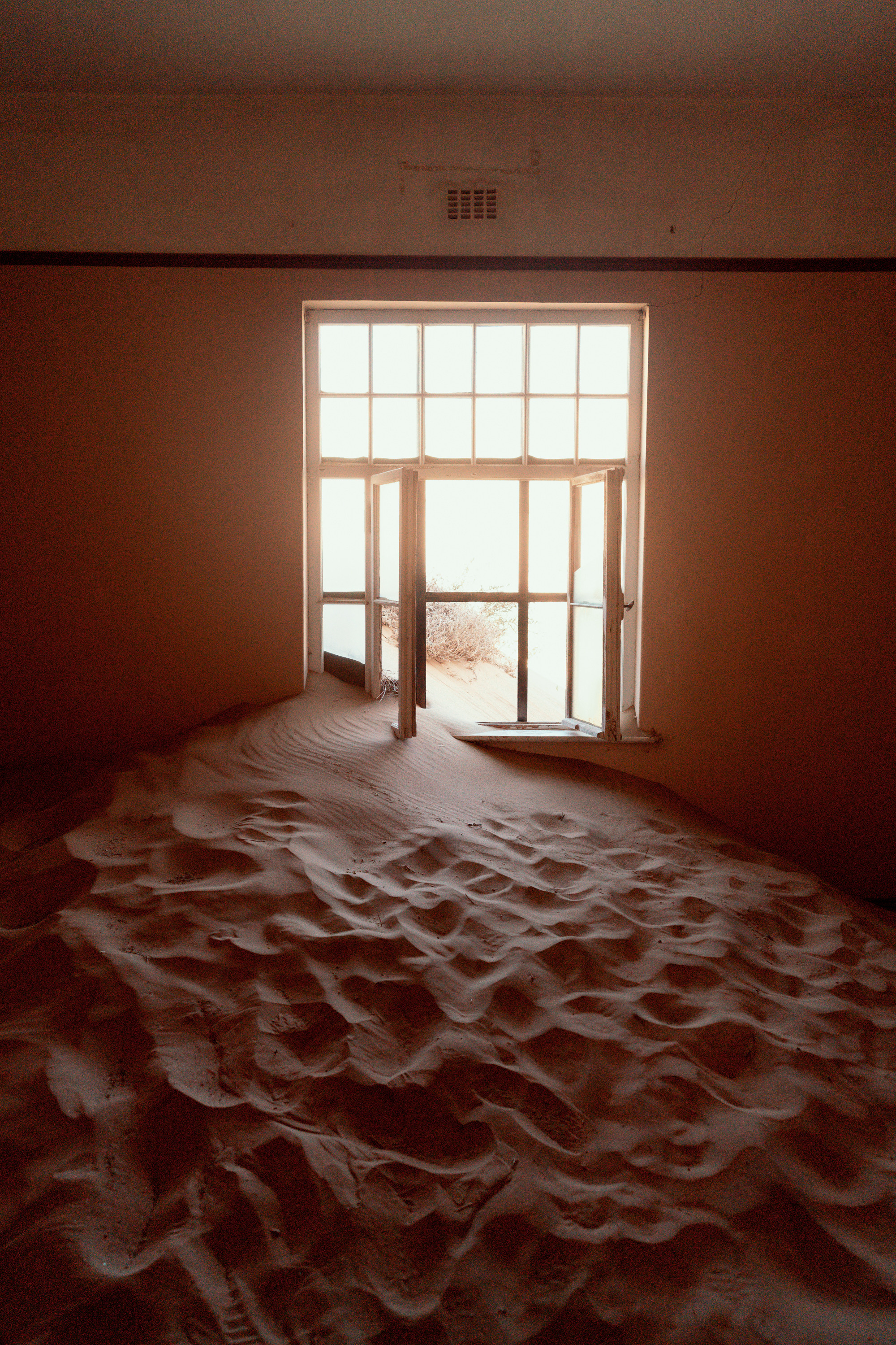 Южная Африка. Фотограф в Хабаровске. Фотография за 24 часа