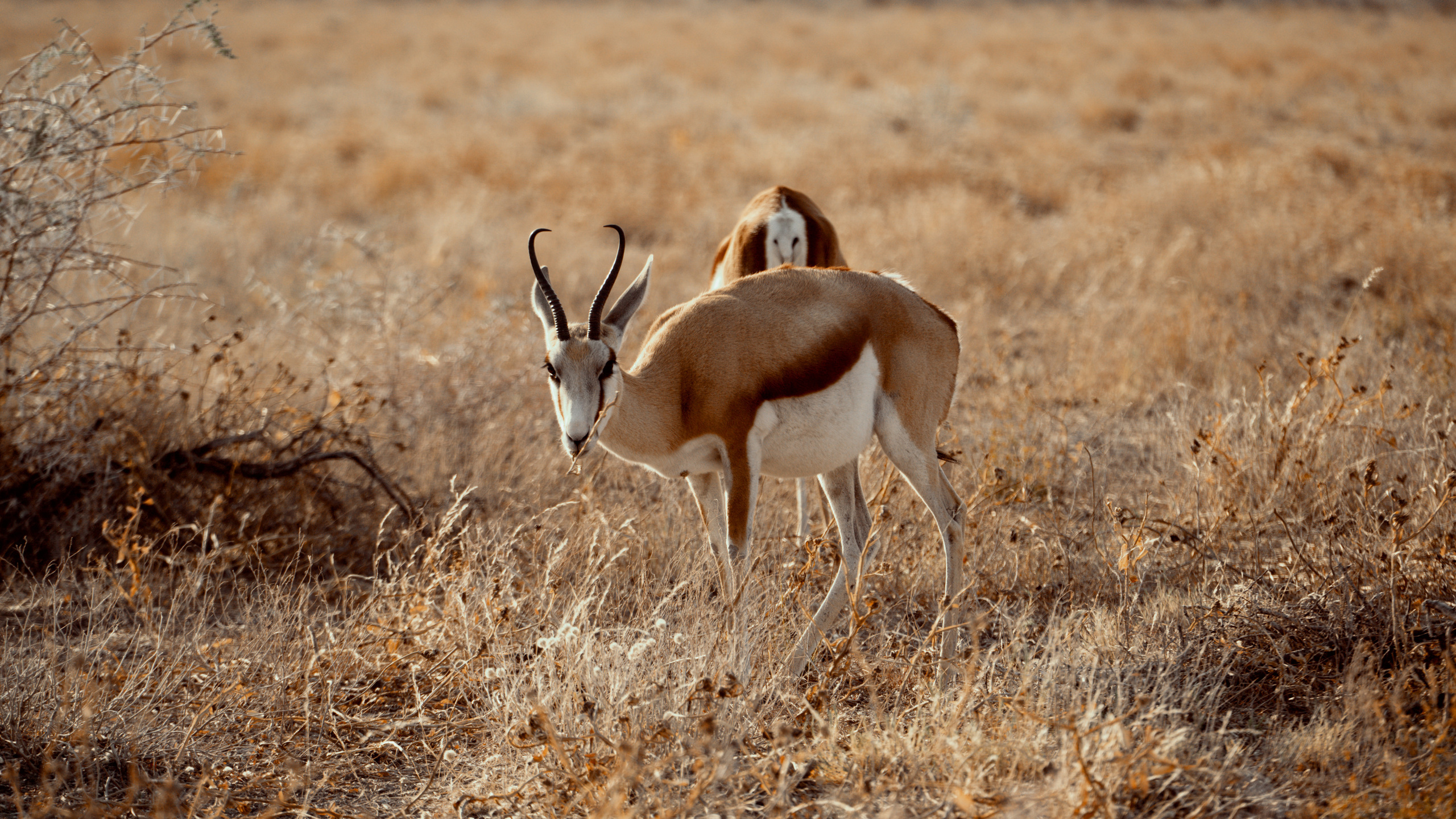 Путешествия. Фотограф в Хабаровске. Фотография за 24 часа