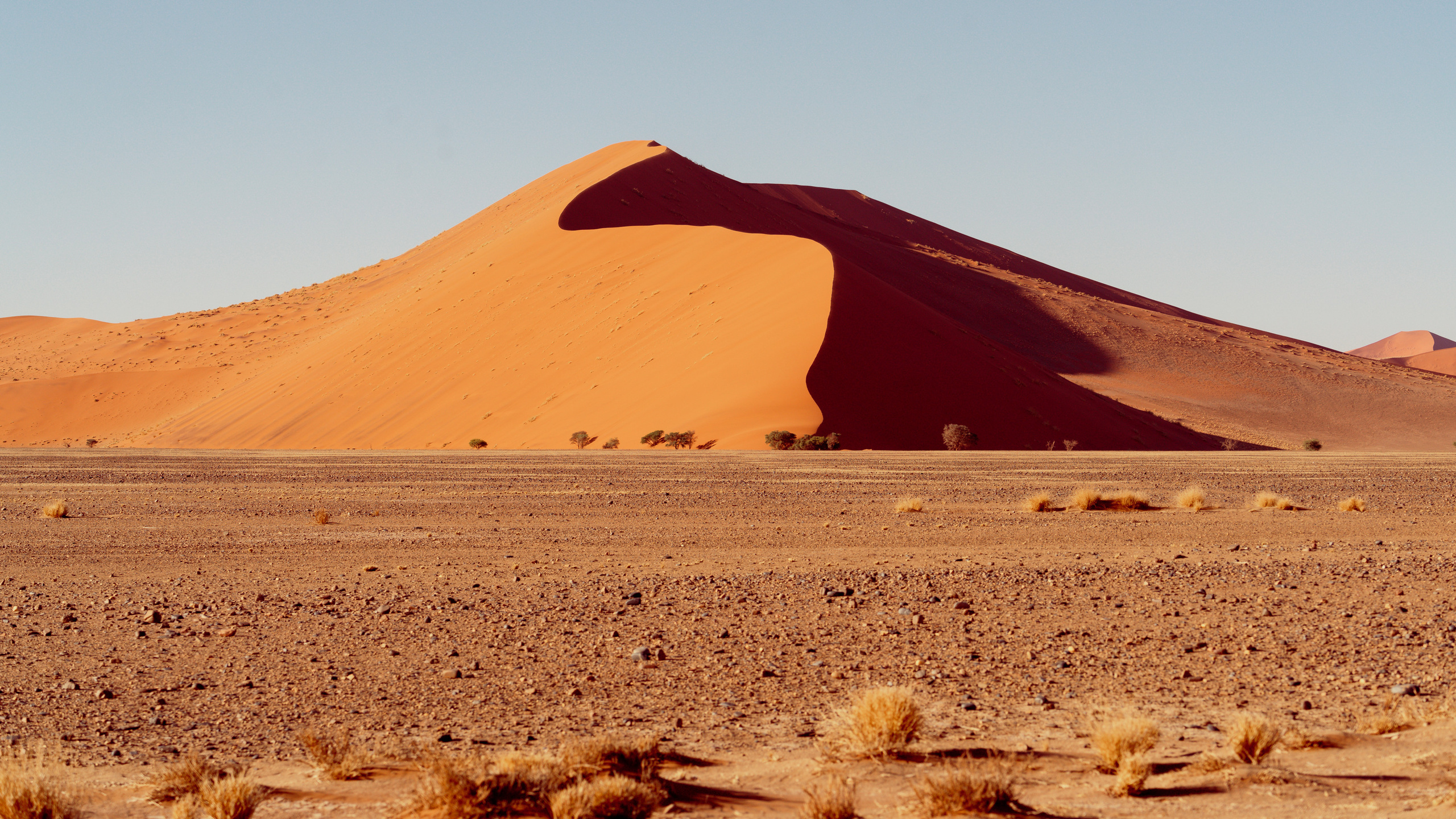Путешествия. Фотограф в Хабаровске. Фотография за 24 часа