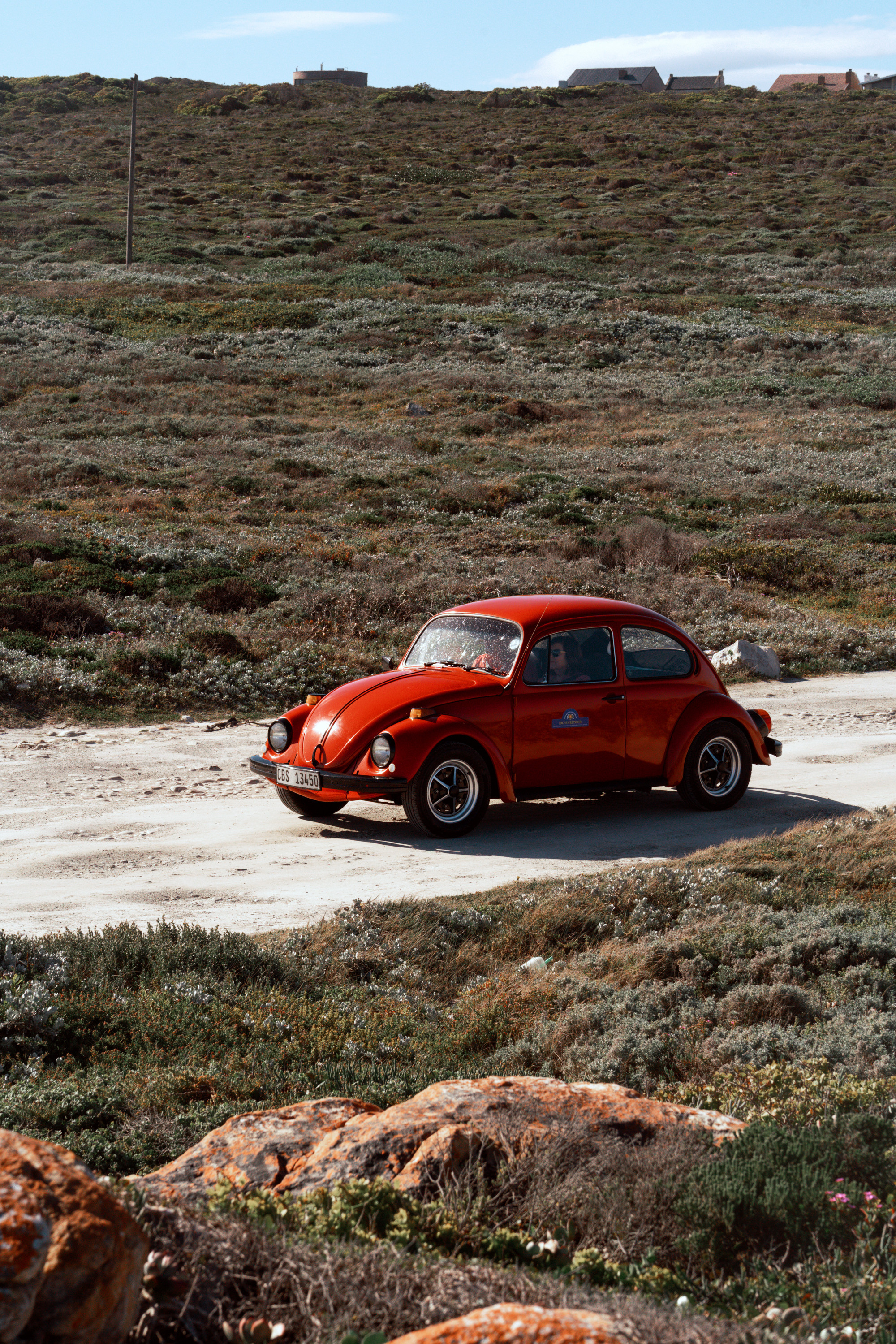 Южная Африка. Фотограф в Хабаровске. Фотография за 24 часа